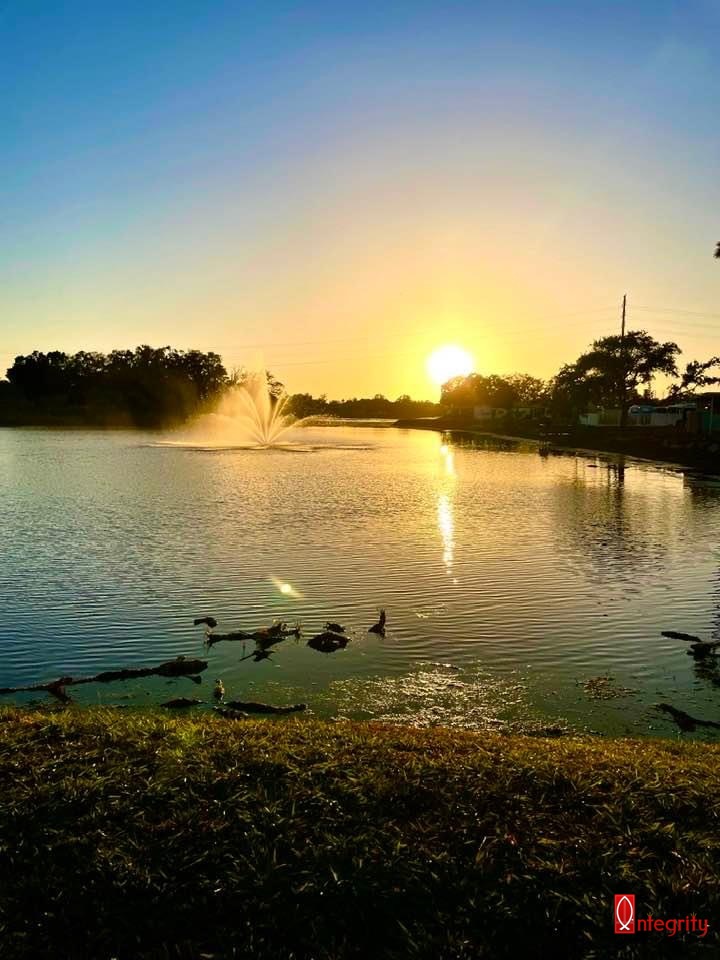 8225 Arevee Drive, Lot 638, New Port Richey, Florida 34653, 1 Bedroom Bedrooms, ,1 BathroomBathrooms,55-Plus Mobile Home,For Sale,Arevee Drive, Lot 638,3384