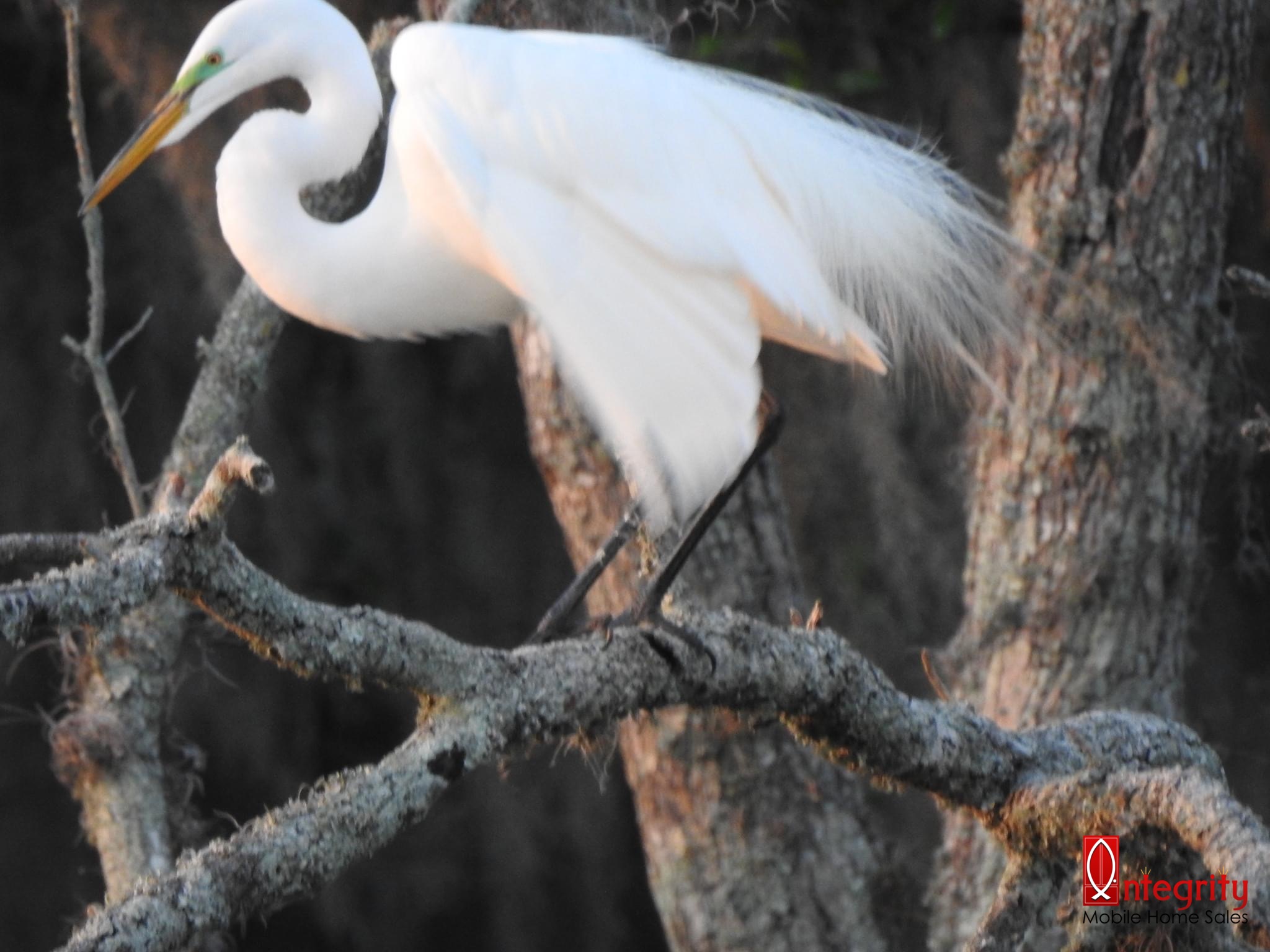 8225 Arevee Drive, Lot 638, New Port Richey, Florida 34653, 1 Bedroom Bedrooms, ,1 BathroomBathrooms,55-Plus Mobile Home,For Sale,Arevee Drive, Lot 638,3384