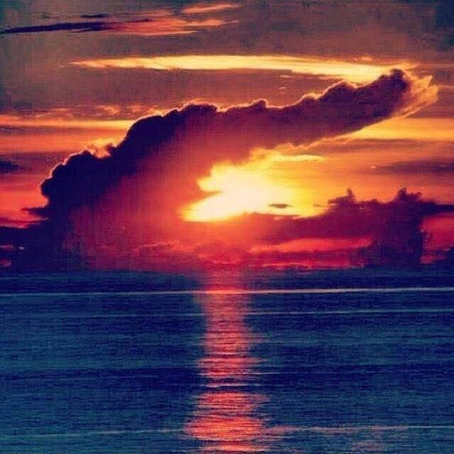 2915 Reinhard Drive, Sarasota, Florida 34234, 3 Bedrooms Bedrooms, ,2 BathroomsBathrooms,55-Plus Mobile Home,For Sale,Reinhard Drive,3449