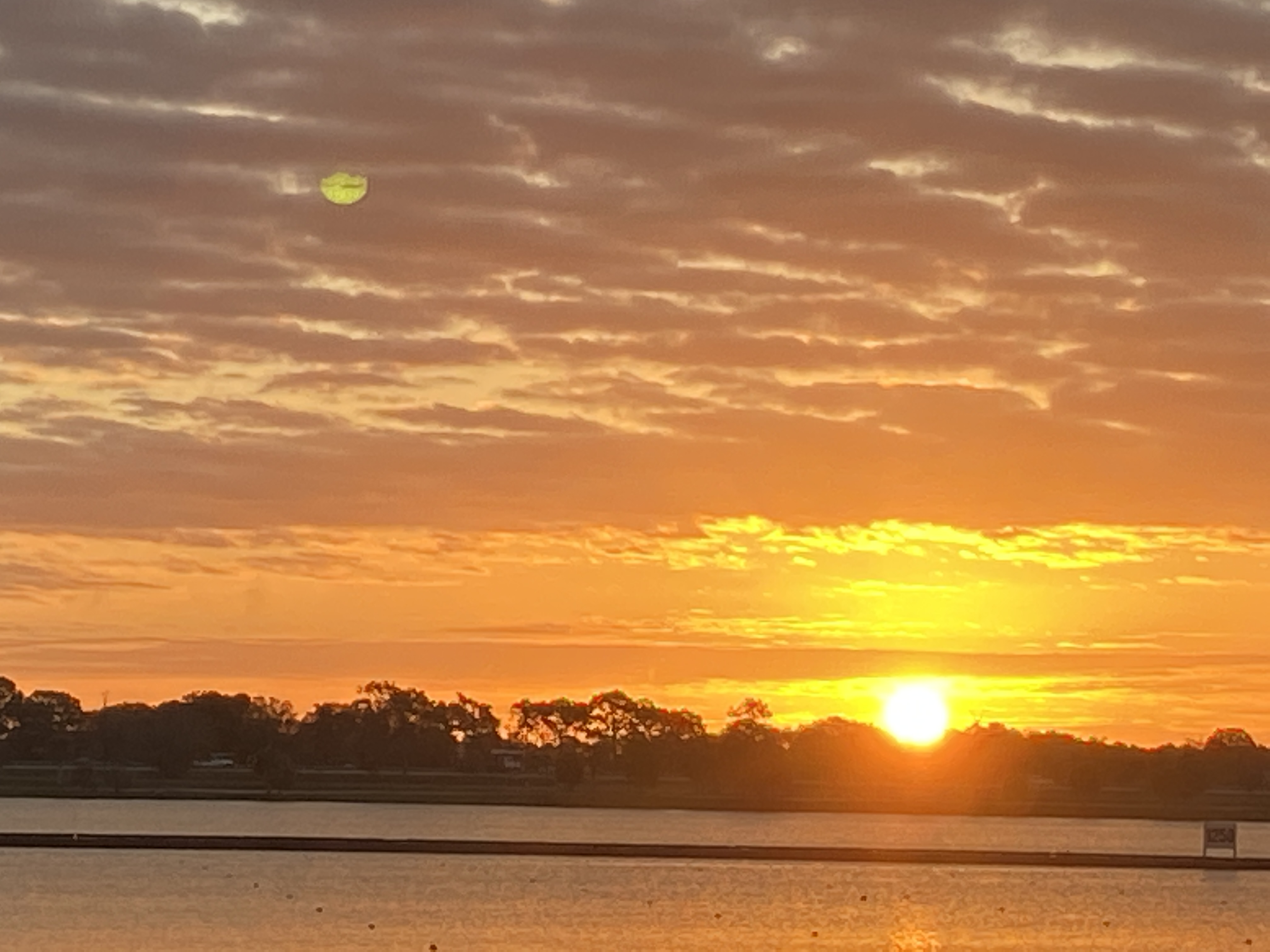 2915 Reinhard Drive, Sarasota, Florida 34234, 3 Bedrooms Bedrooms, ,2 BathroomsBathrooms,55-Plus Mobile Home,For Sale,Reinhard Drive,3449