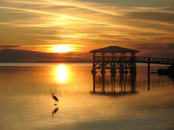 2915 Reinhard Drive, Sarasota, Florida 34234, 3 Bedrooms Bedrooms, ,2 BathroomsBathrooms,55-Plus Mobile Home,For Sale,Reinhard Drive,3449