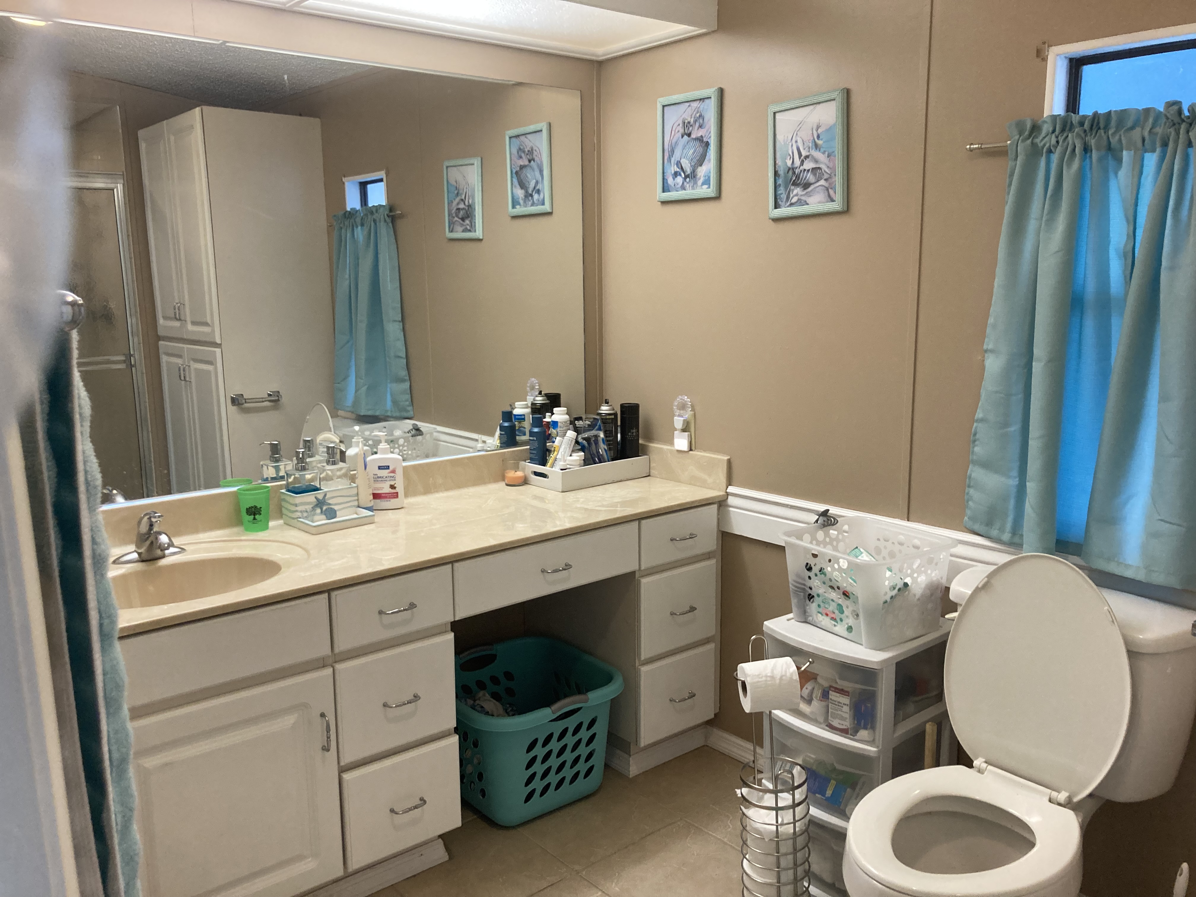 10914 Whispering Oaks Circle, Riverview, Florida 33569, 2 Bedrooms Bedrooms, ,2 BathroomsBathrooms,55-Plus Mobile Home,For Sale,Whispering Oaks Circle,3471