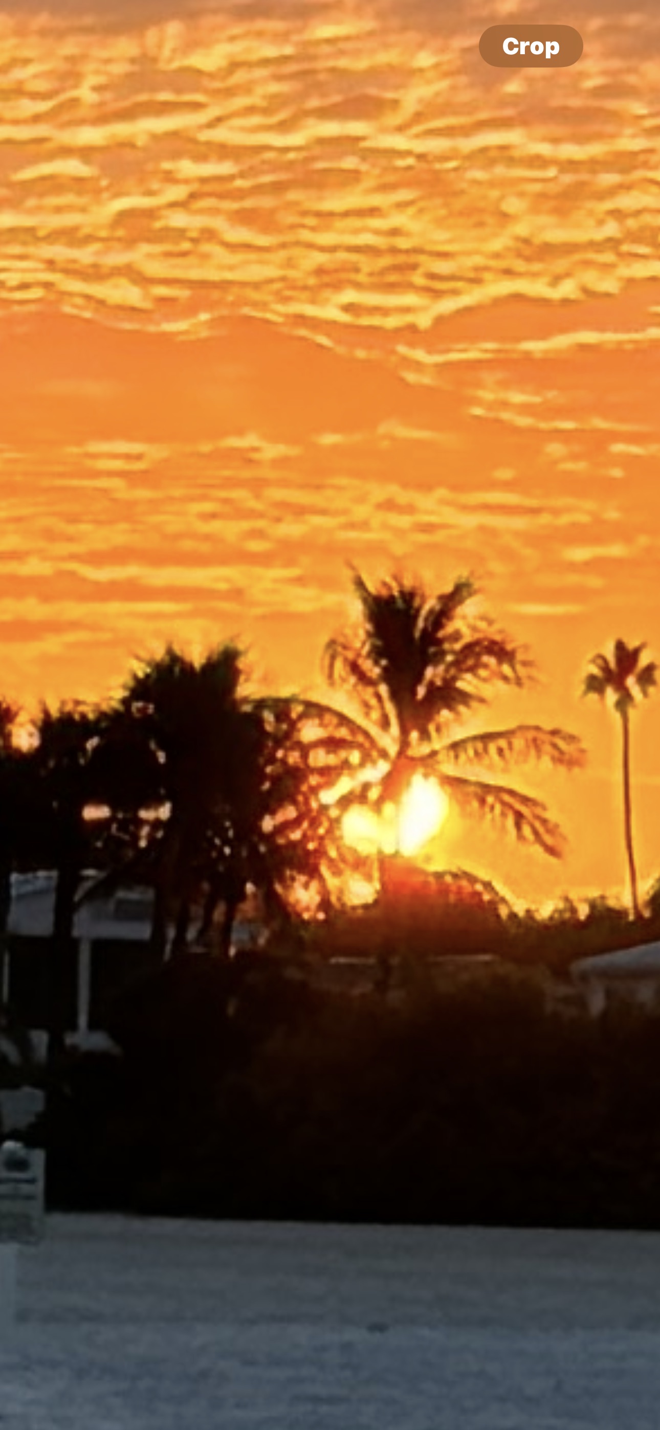 4232 Pittenger Drive, Sarasota, Florida 34234, 2 Bedrooms Bedrooms, ,2 BathroomsBathrooms,55-Plus Mobile Home,For Sale,Pittenger Drive,3519