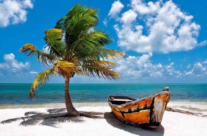 4225 Pittenger Drive, Sarasota, Florida 34234, 2 Bedrooms Bedrooms, ,2 BathroomsBathrooms,55-Plus Mobile Home,For Sale,Pittenger Drive,3522