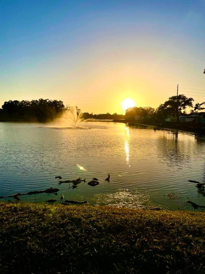 8225 Arevee Drive, Lot 722, New Port Richey, Florida 34653, 1 Bedroom Bedrooms, ,1 BathroomBathrooms,55-Plus Mobile Home,For Sale,Arevee Drive, Lot 722,3527