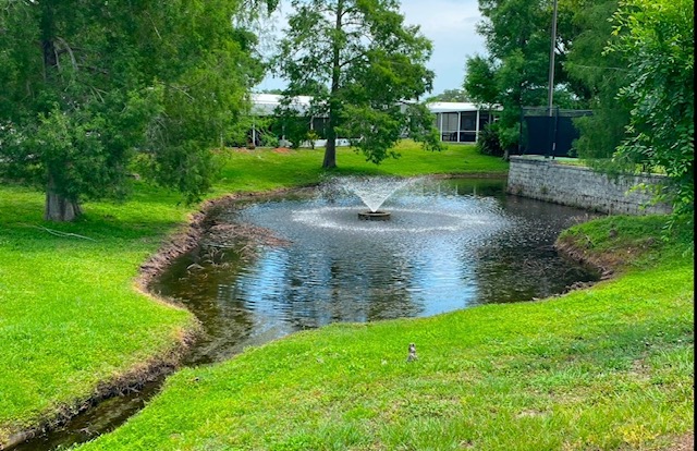 100 Hampton Road, Lot 218, Clearwater, Florida 33759, 2 Bedrooms Bedrooms, ,2 BathroomsBathrooms,55-Plus Mobile Home,For Sale,Hampton Road, Lot 218,3587