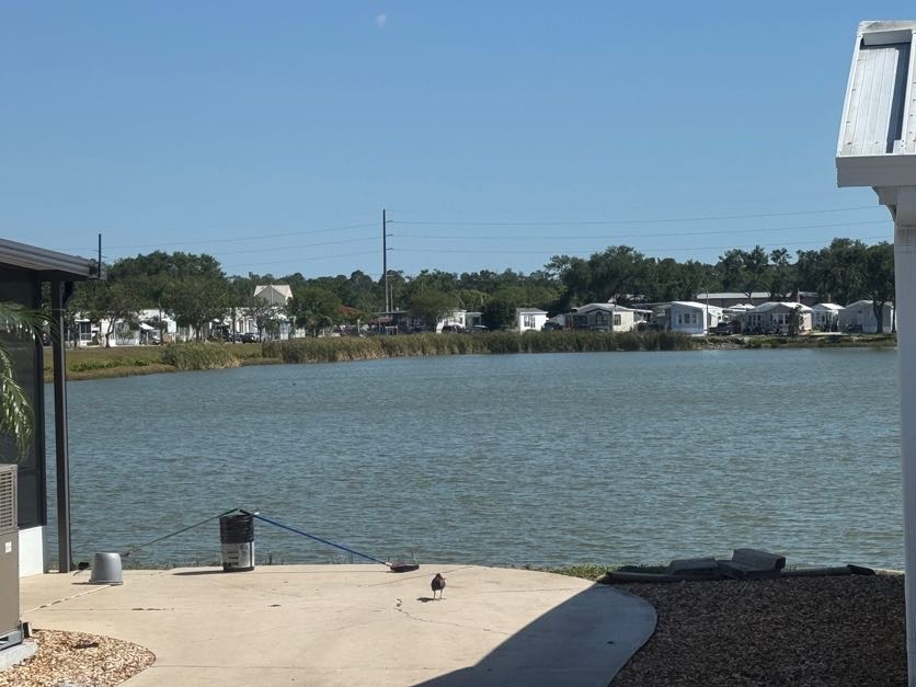 6633 53rd Avenue East, Lot C43, Bradenton, Florida 34203, 2 Bedrooms Bedrooms, ,1 BathroomBathrooms,55-Plus Mobile Home,For Sale,53rd Avenue East, Lot C43,3618