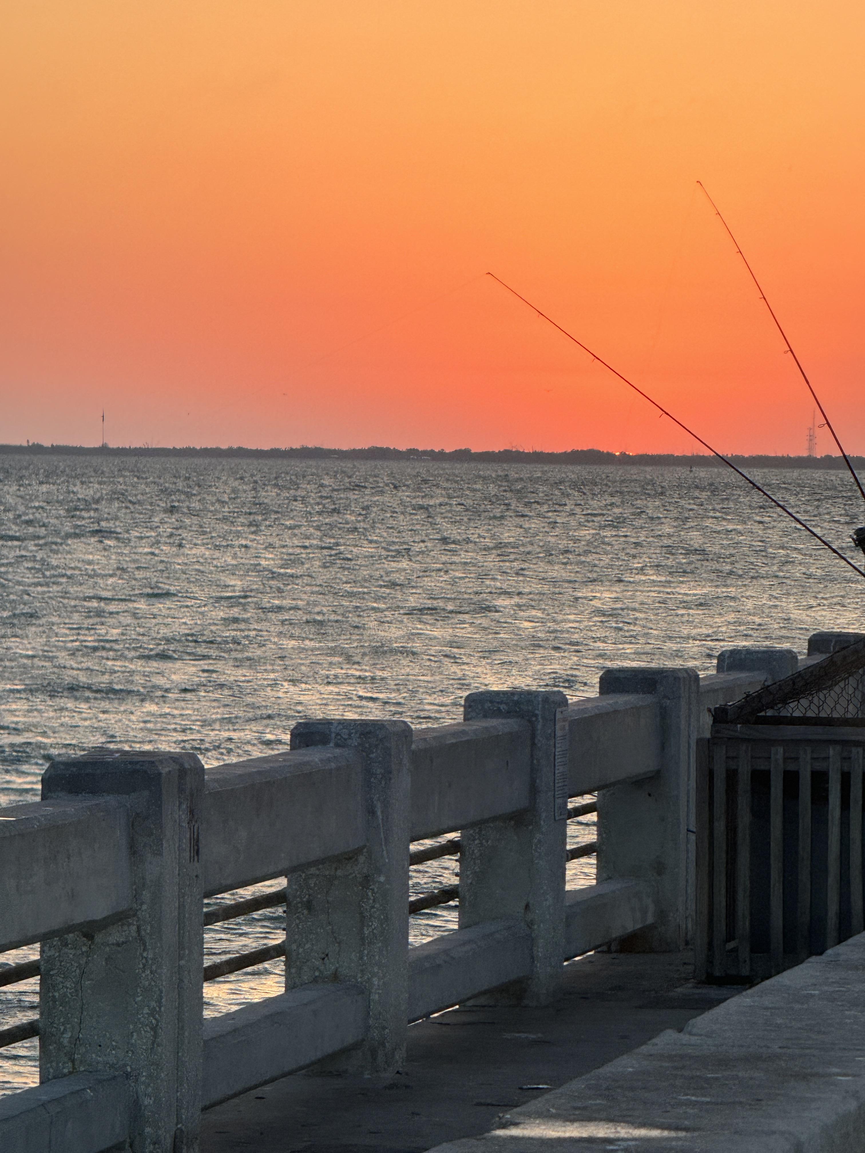 6633 53rd Avenue East, Lot C43, Bradenton, Florida 34203, 2 Bedrooms Bedrooms, ,1 BathroomBathrooms,55-Plus Mobile Home,For Sale,53rd Avenue East, Lot C43,3618