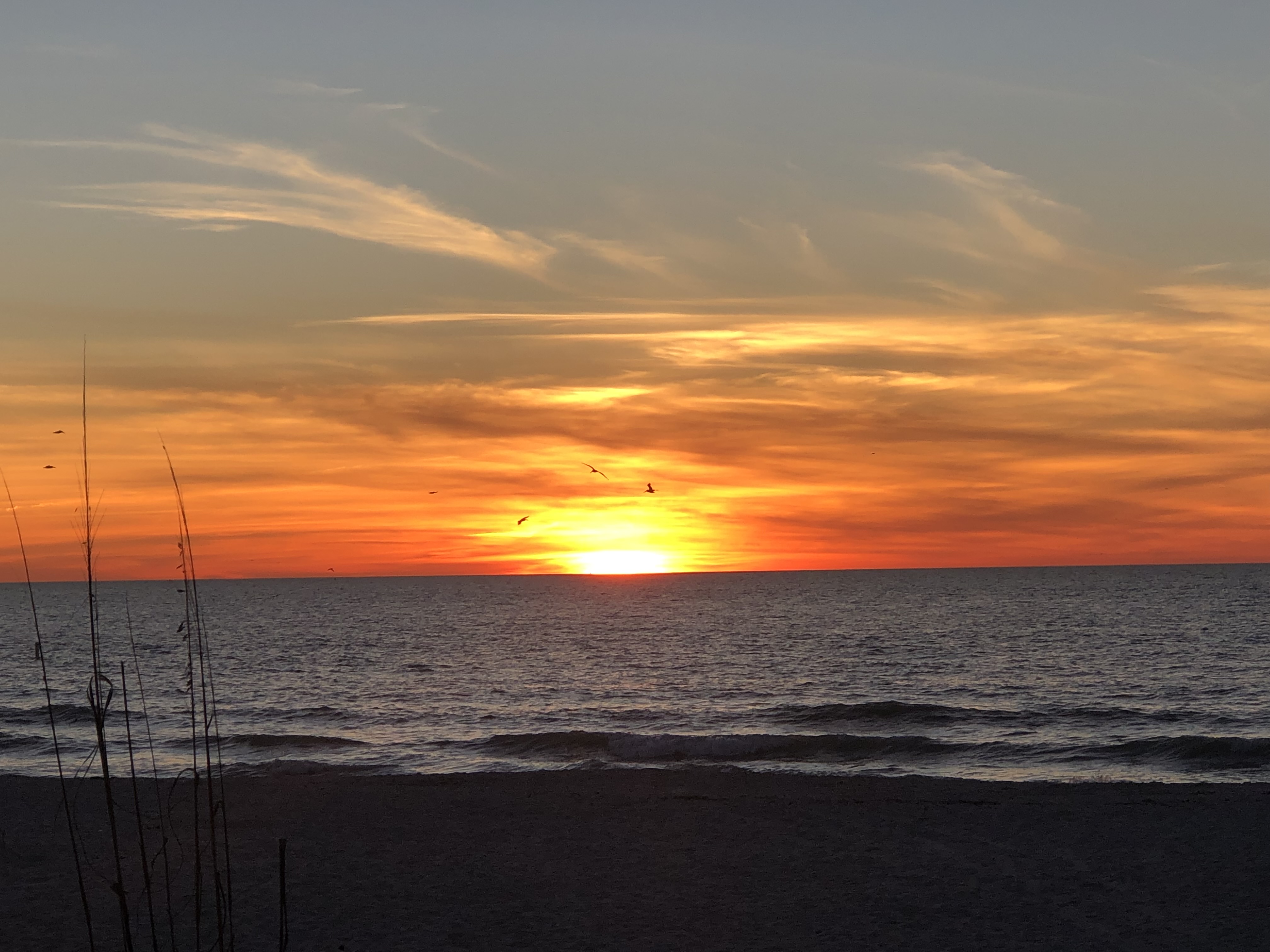 6633 53rd Avenue East, Lot C43, Bradenton, Florida 34203, 2 Bedrooms Bedrooms, ,1 BathroomBathrooms,55-Plus Mobile Home,For Sale,53rd Avenue East, Lot C43,3618