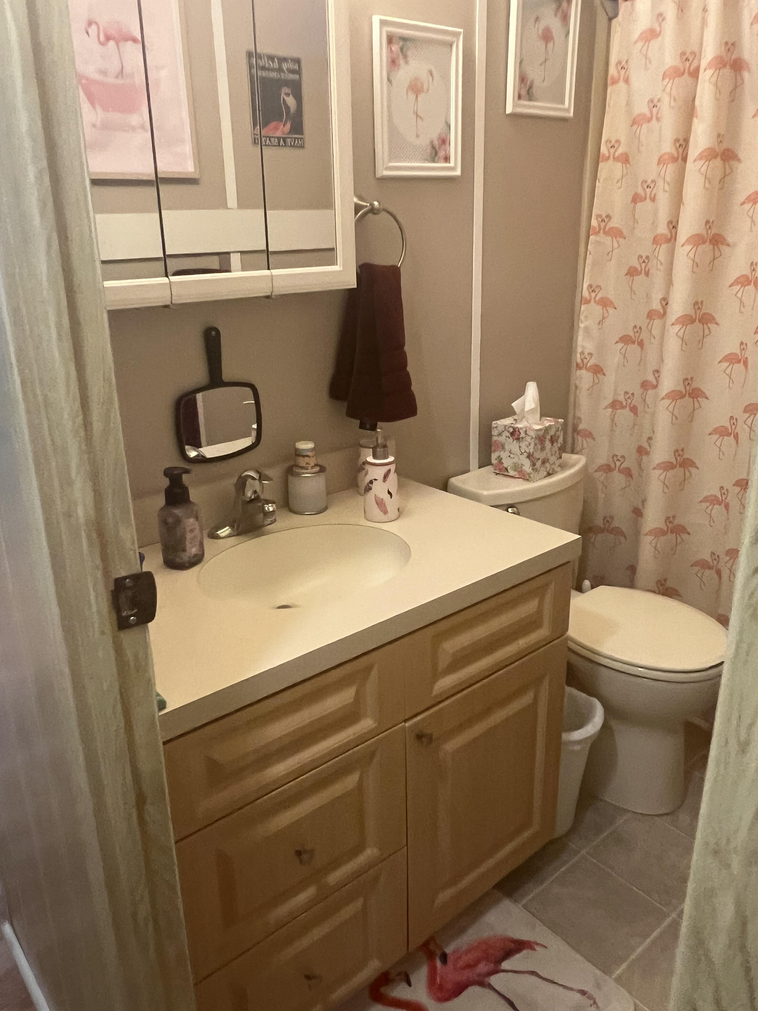 5700 Bayshore Road, Lot 315, Palmetto, Florida 34221, 2 Bedrooms Bedrooms, ,2 BathroomsBathrooms,55-Plus Mobile Home,For Sale,Bayshore Road, Lot 315,3622