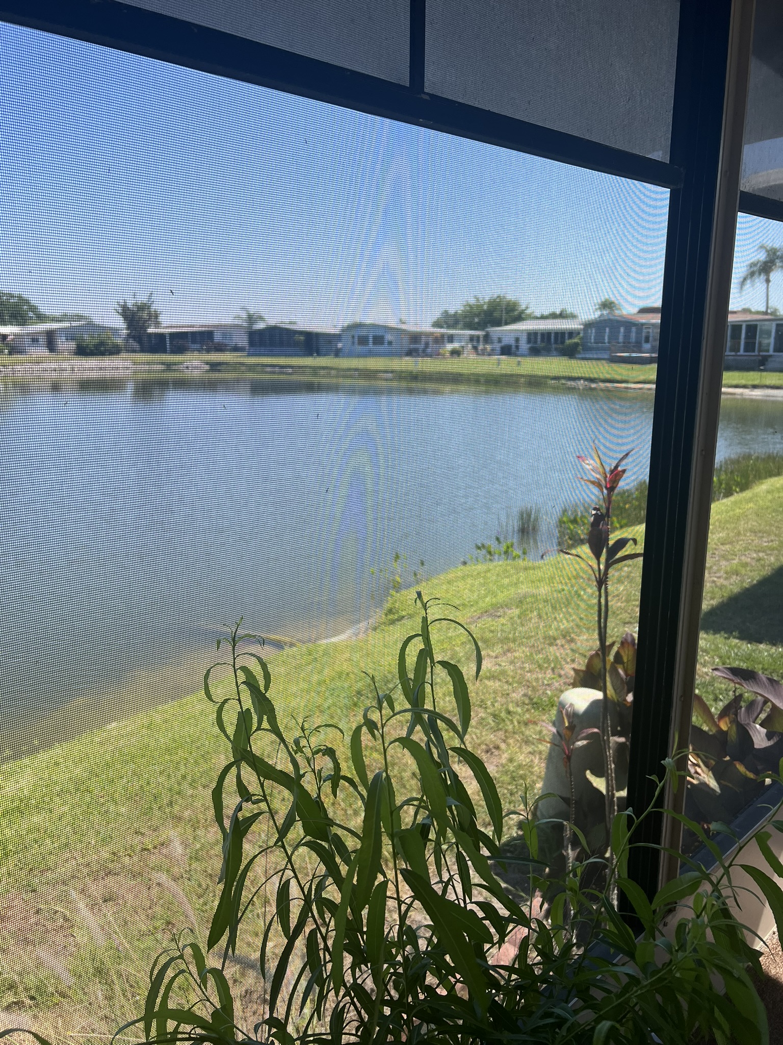 5700 Bayshore Road, Lot 709, Palmetto, Florida 34221, 2 Bedrooms Bedrooms, ,2 BathroomsBathrooms,55-Plus Mobile Home,For Sale,Bayshore Road, Lot 709,3623