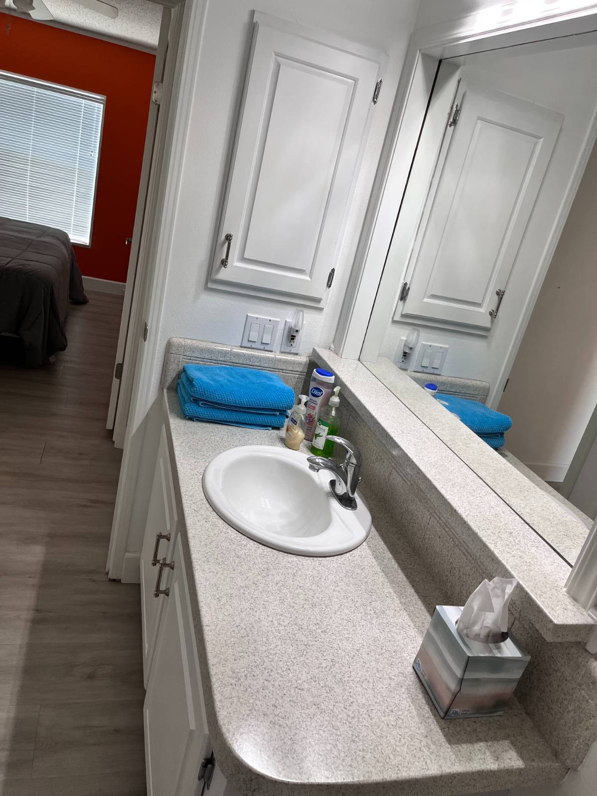 120 Palm Blvd, Parrish, Florida 34219, 2 Bedrooms Bedrooms, ,2 BathroomsBathrooms,55-Plus Mobile Home,For Sale,Palm Blvd,3635