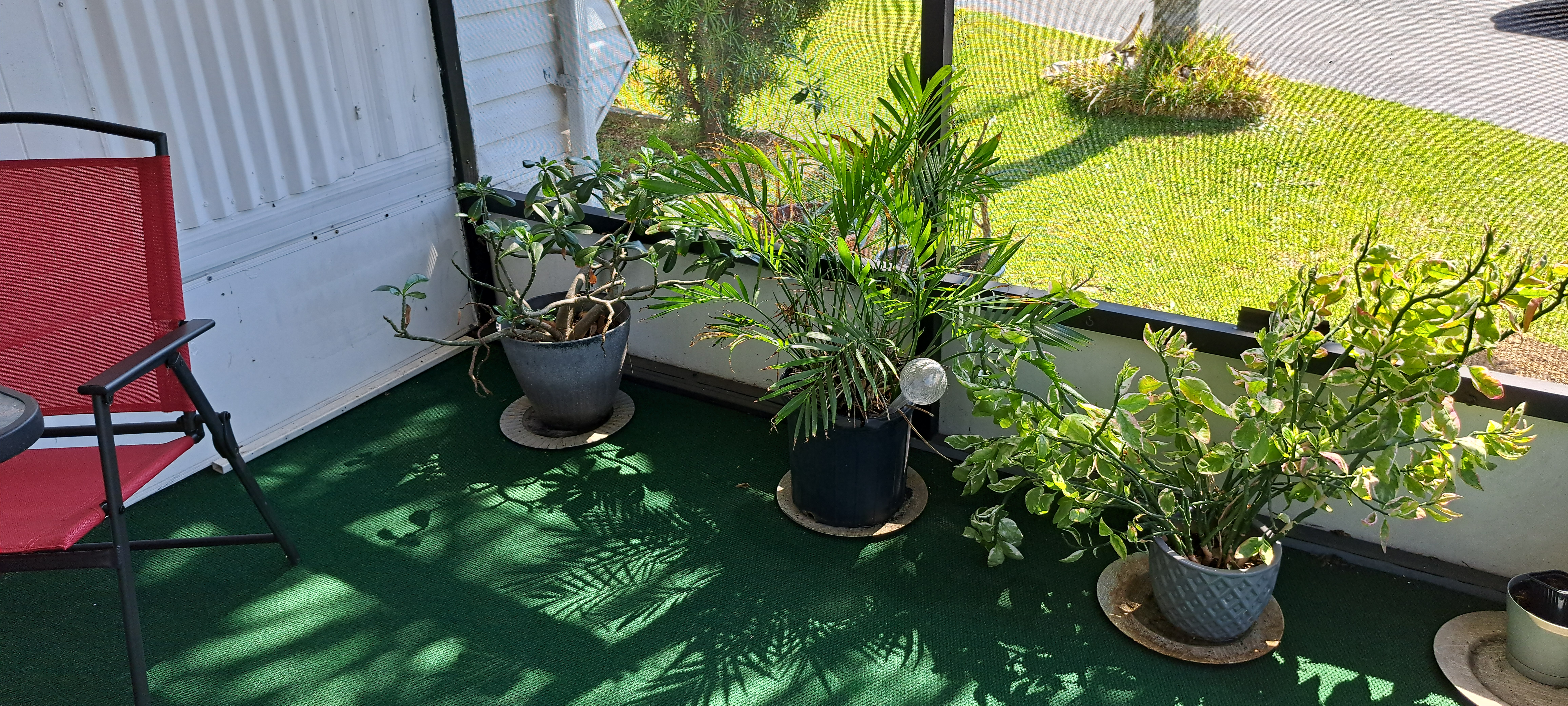 3565 58th Avenue N, Lot 138, St Petersburg, Florida 33714, 1 Bedroom Bedrooms, 1 Room Rooms,55-Plus Mobile Home,For Sale,58th Avenue N, Lot 138,3655