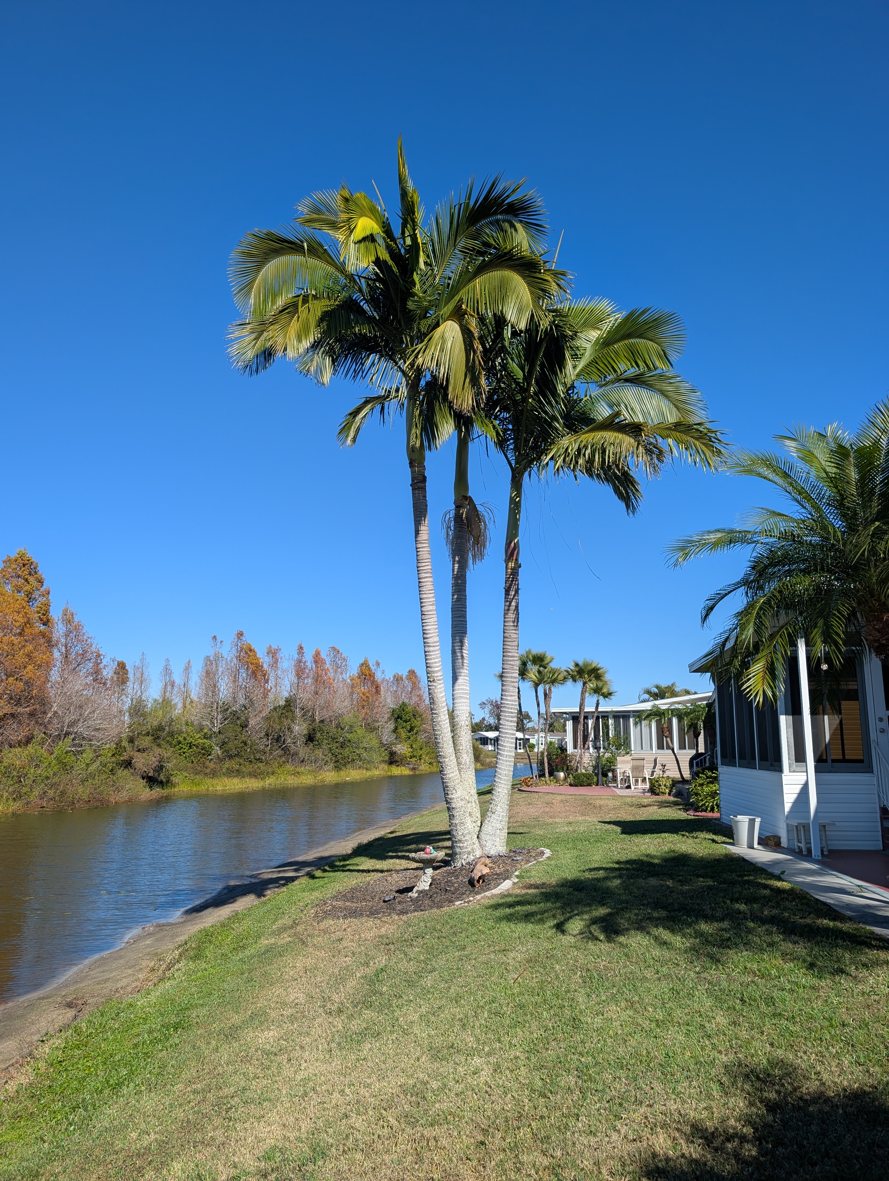120 Juniper Trace, Parrish, Florida 34219, 2 Bedrooms Bedrooms, ,2 BathroomsBathrooms,55-Plus Mobile Home,For Sale,Juniper Trace,3673