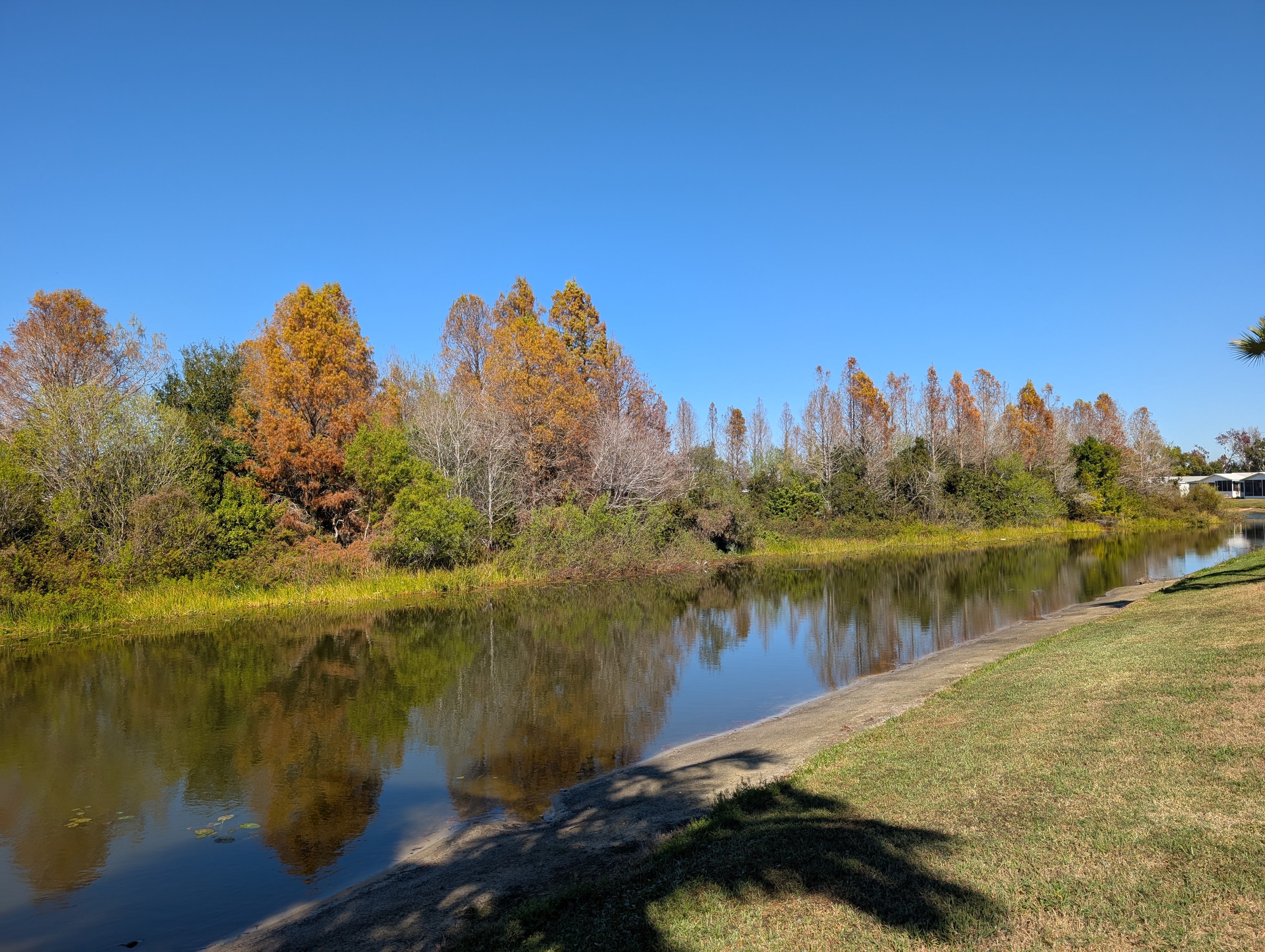 120 Juniper Trace, Parrish, Florida 34219, 2 Bedrooms Bedrooms, ,2 BathroomsBathrooms,55-Plus Mobile Home,For Sale,Juniper Trace,3673