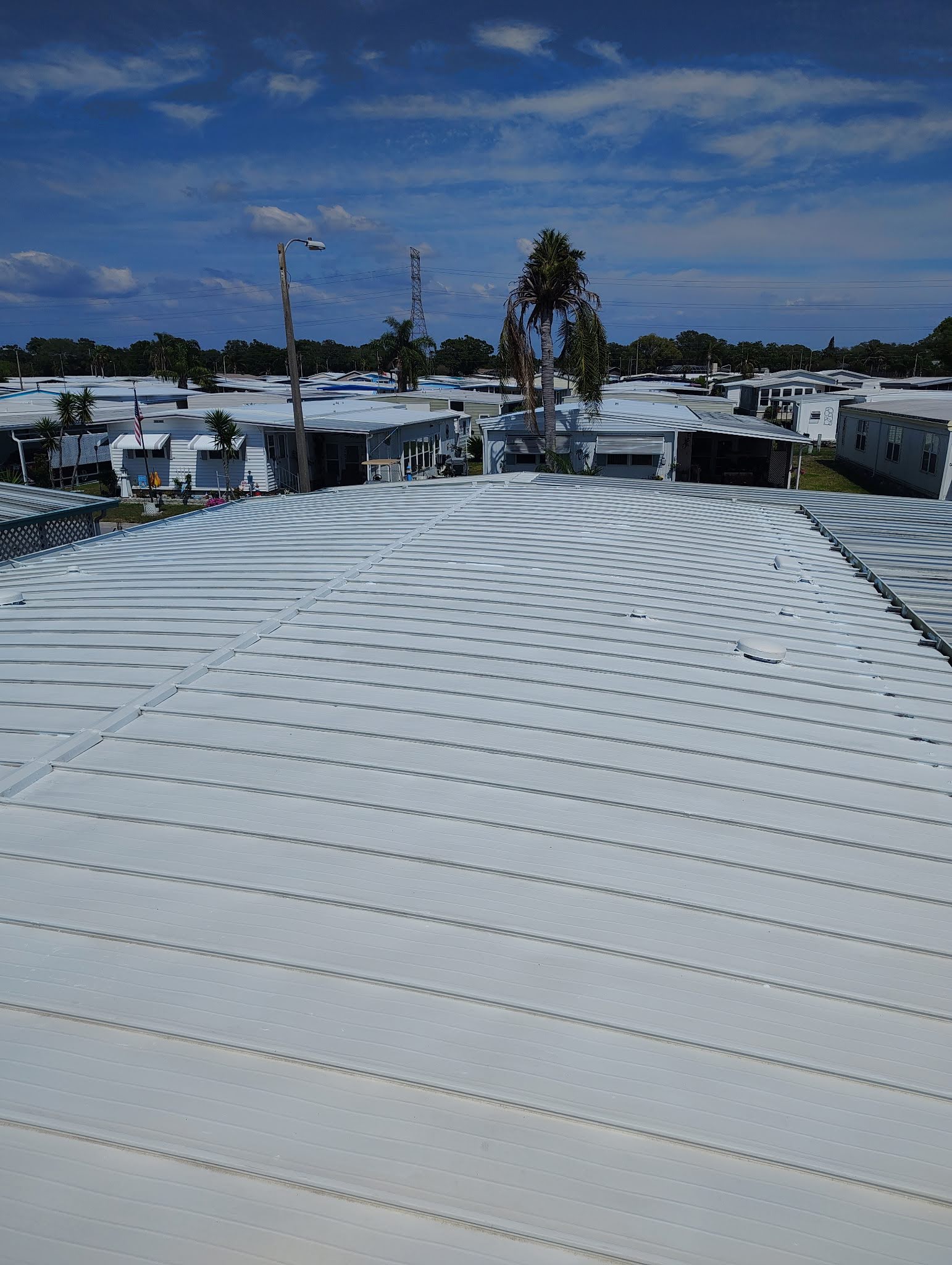 29081 US Hwy 19 N, Lot 256, Clearwater, Florida 33761, 2 Bedrooms Bedrooms, ,2 BathroomsBathrooms,55-Plus Mobile Home,For Sale,US Hwy 19 N, Lot 256,3704