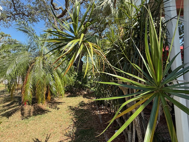 100 Hampton Road, Lot 244, Clearwater, Florida 33759, 2 Bedrooms Bedrooms, ,2 BathroomsBathrooms,55-Plus Mobile Home,For Sale,Hampton Road, Lot 244,3750