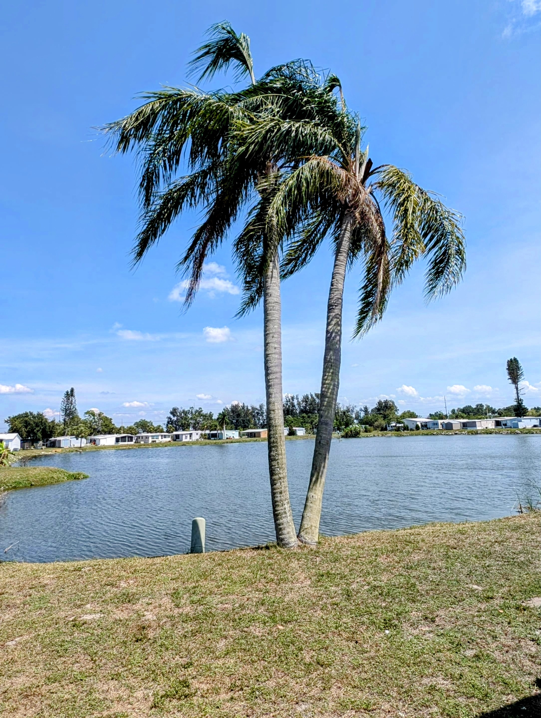 2508 Turtleback Way, Ruskin, Florida 33570, 2 Bedrooms Bedrooms, ,2 BathroomsBathrooms,55-Plus Mobile Home,For Sale,Turtleback Way,3817