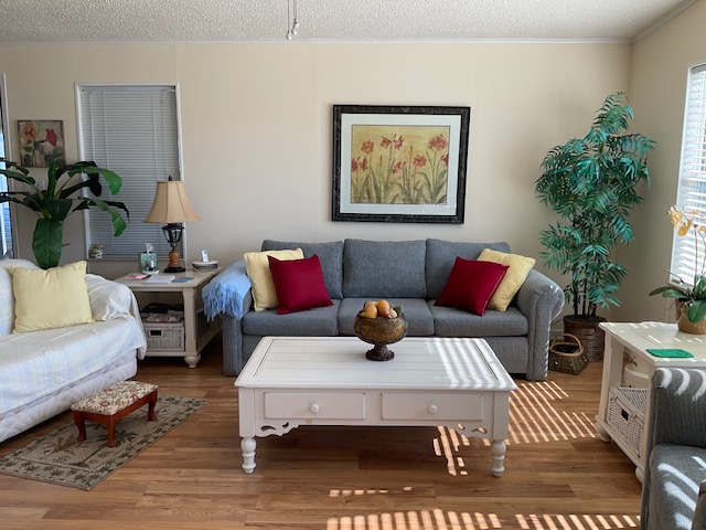 6707 John Avenue, Ellenton, Florida 34222, 2 Bedrooms Bedrooms, ,2 BathroomsBathrooms,55-Plus Mobile Home,For Sale,John Avenue,3884