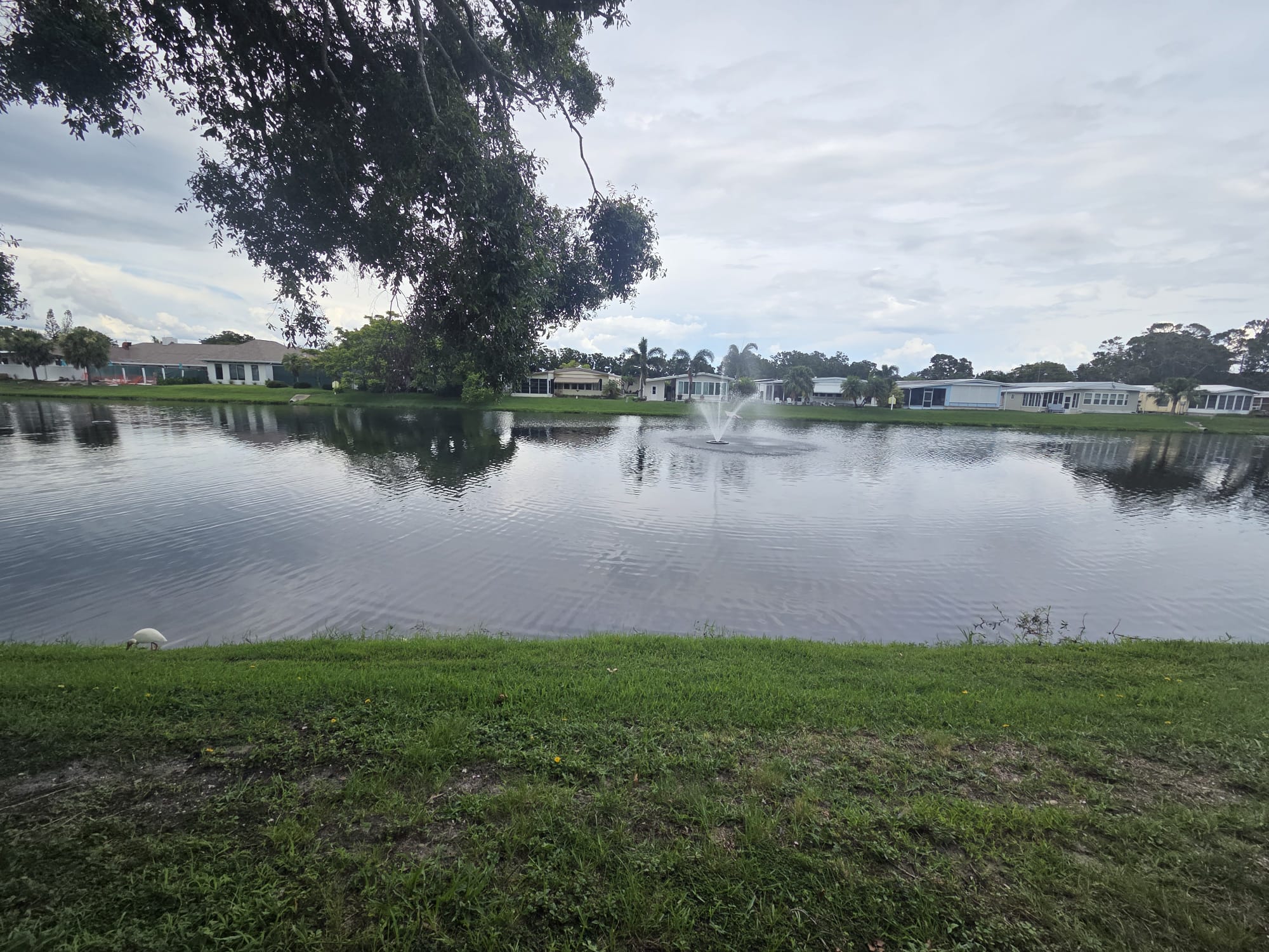 12100 Seminole Blvd, Lot 211, Largo, Florida 33778, 2 Bedrooms Bedrooms, ,2 BathroomsBathrooms,55-Plus Mobile Home,For Sale,Seminole Blvd, Lot 211,3892