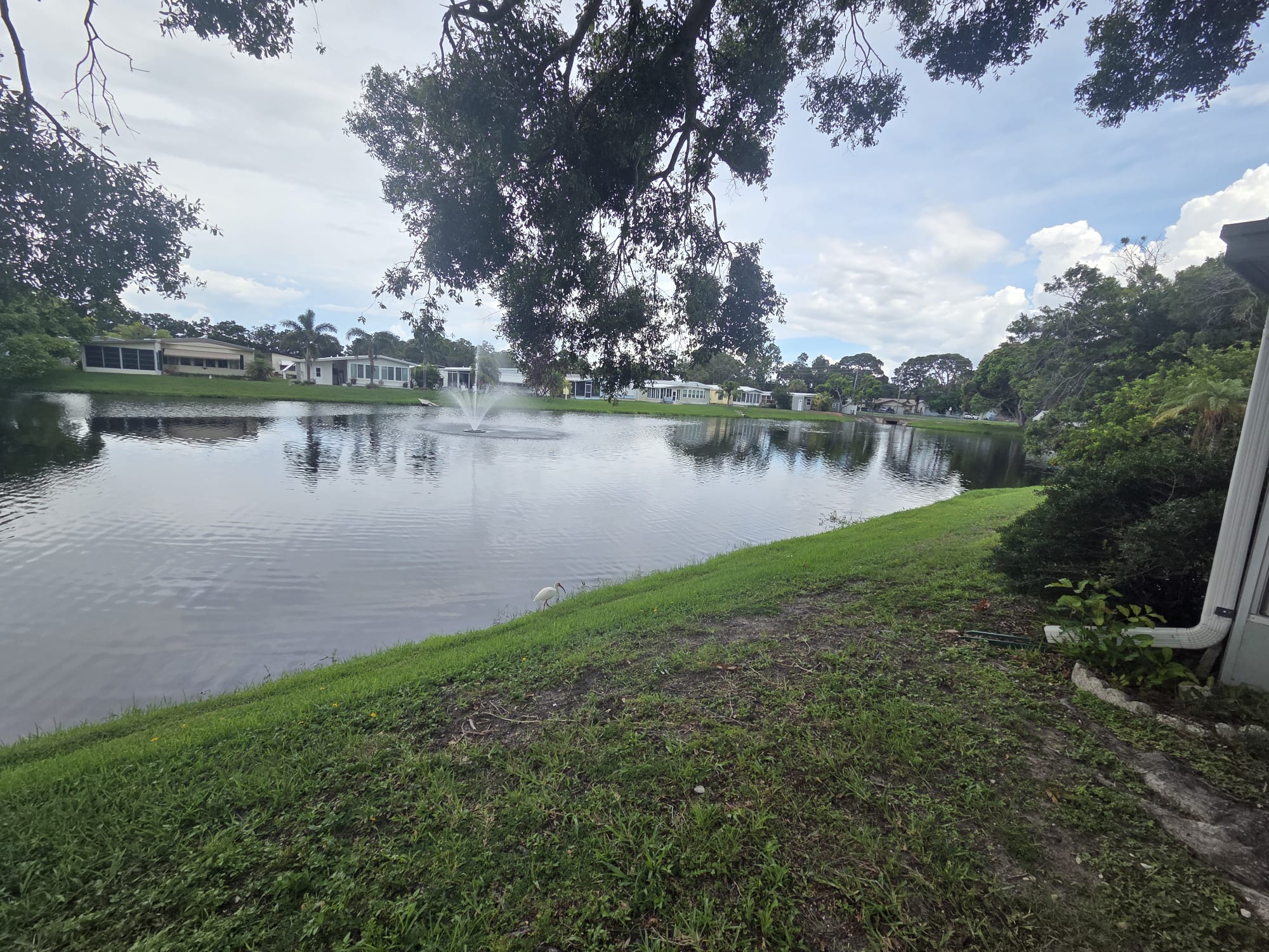 12100 Seminole Blvd, Lot 211, Largo, Florida 33778, 2 Bedrooms Bedrooms, ,2 BathroomsBathrooms,55-Plus Mobile Home,For Sale,Seminole Blvd, Lot 211,3892