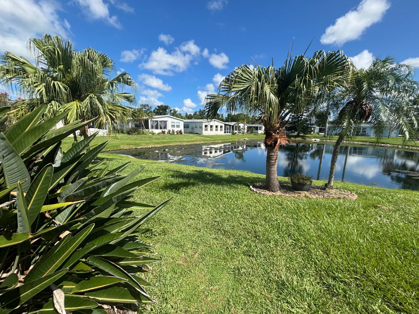 6806 Palmetto Grove, Ellenton, Florida 34222, 2 Bedrooms Bedrooms, ,2 BathroomsBathrooms,55-Plus Mobile Home,For Sale,Palmetto Grove,3893