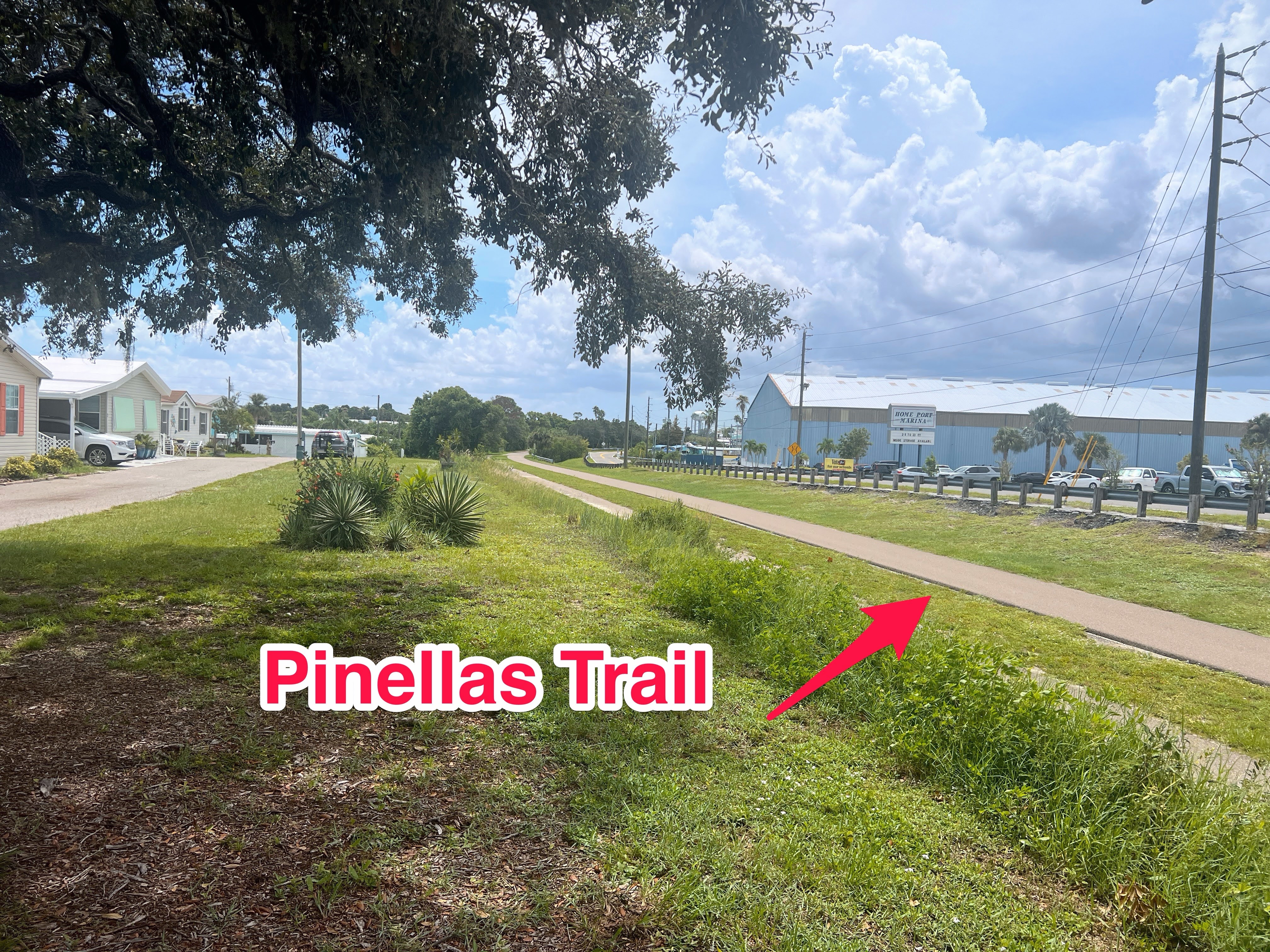 3300 Alt 19 N, Lot 31, Dunedin, Florida 34698, 2 Bedrooms Bedrooms, ,2 BathroomsBathrooms,55-Plus Mobile Home,For Sale,Alt 19 N, Lot 31,3936