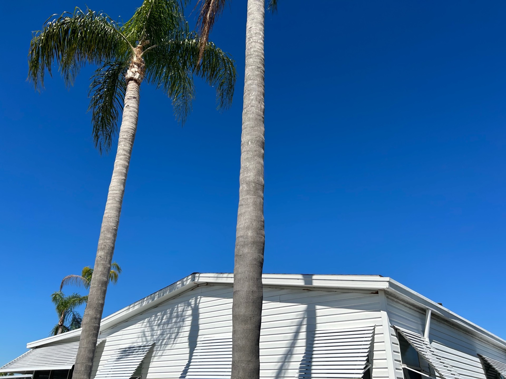 3412 Woody Ct, Ellenton, Florida 34222, 3 Bedrooms Bedrooms, ,2 BathroomsBathrooms,55-Plus Mobile Home,For Sale,Woody Ct,3941