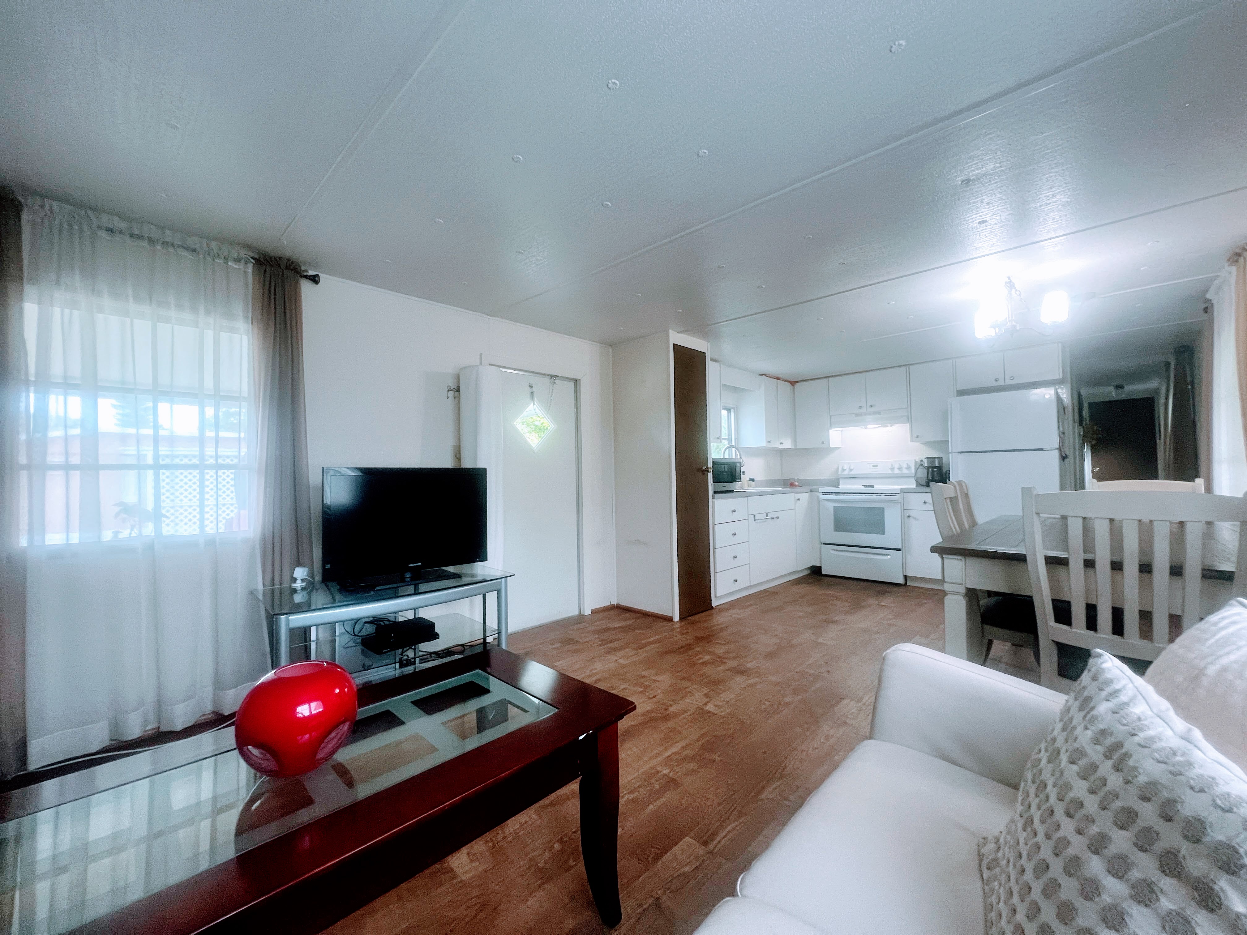 17 Sophie Avenue, Dunedin, Florida 34698, 3 Bedrooms Bedrooms, ,2 BathroomsBathrooms,55-Plus Mobile Home,For Sale,Sophie Avenue,3943