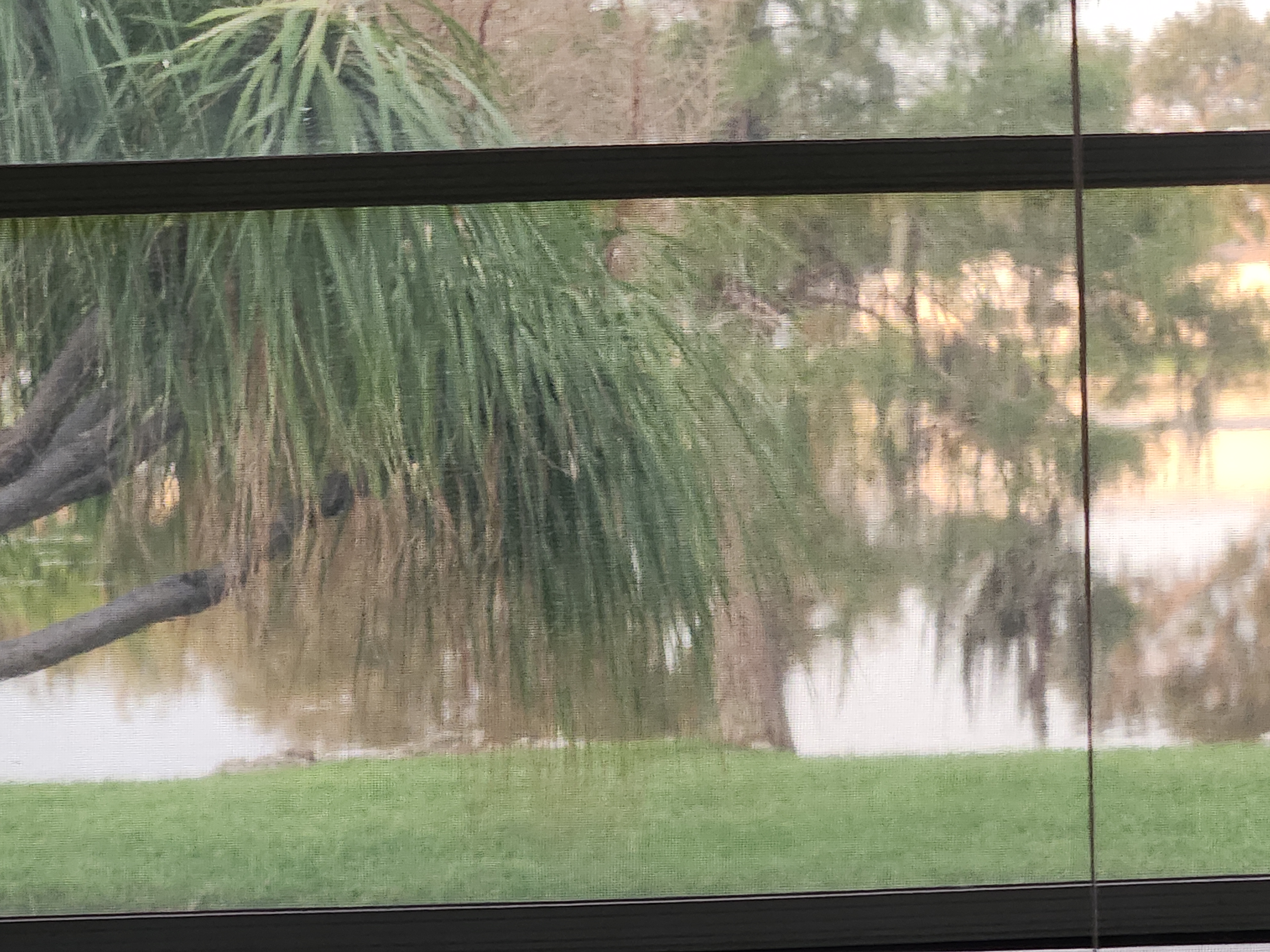 3319 Woody Ct, Ellenton, Florida 34222, 2 Bedrooms Bedrooms, ,2 BathroomsBathrooms,55-Plus Mobile Home,For Sale,Woody Ct,3948