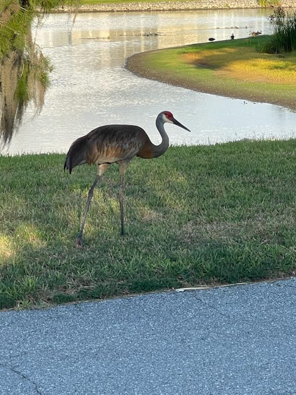 3319 Woody Ct, Ellenton, Florida 34222, 2 Bedrooms Bedrooms, ,2 BathroomsBathrooms,55-Plus Mobile Home,For Sale,Woody Ct,3948