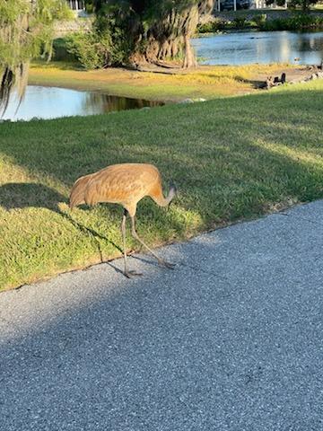 3319 Woody Ct, Ellenton, Florida 34222, 2 Bedrooms Bedrooms, ,2 BathroomsBathrooms,55-Plus Mobile Home,For Sale,Woody Ct,3948