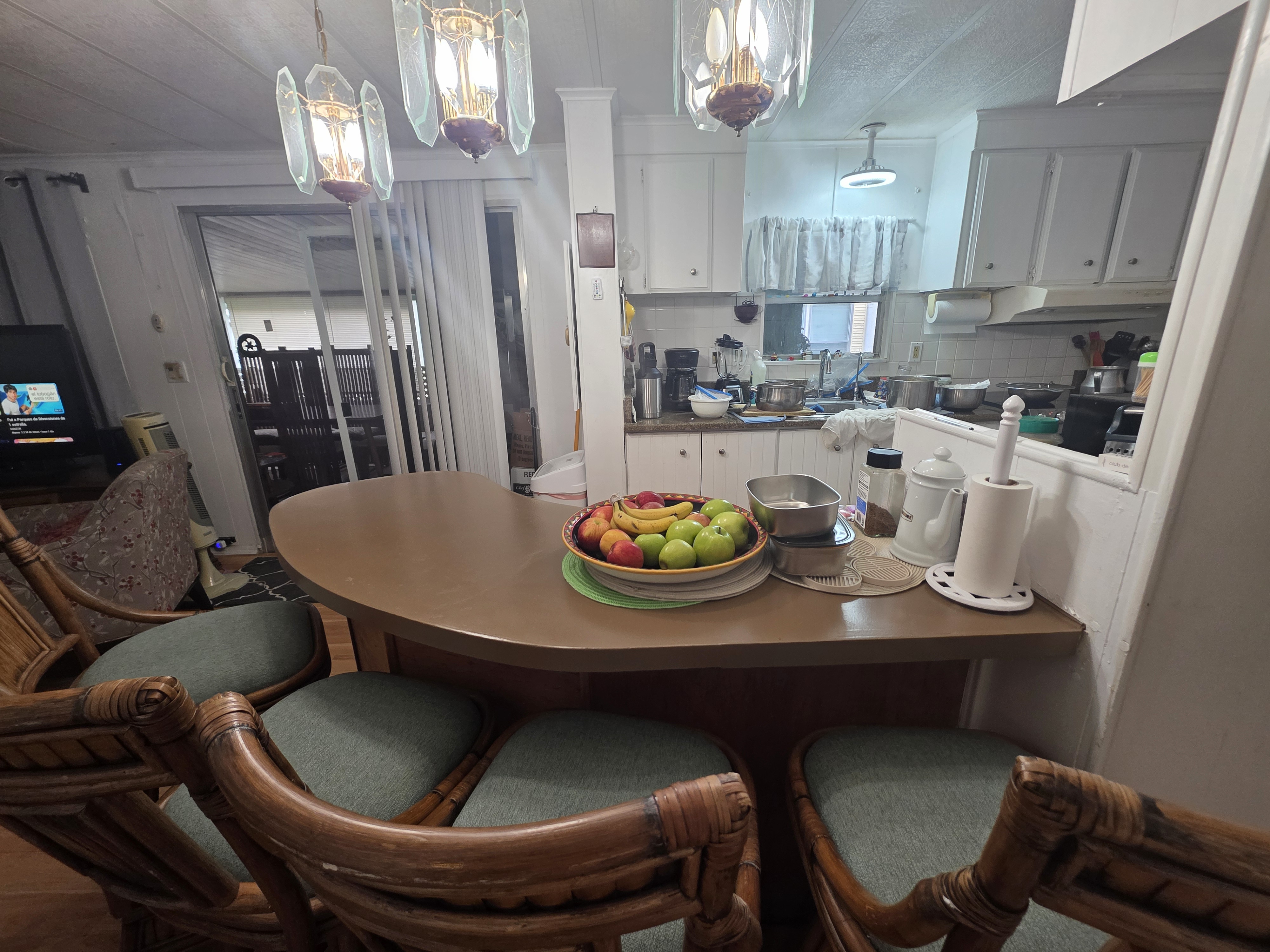 226 Palm Drive, Tampa, Florida 33613, 3 Bedrooms Bedrooms, ,2 BathroomsBathrooms,55-Plus Mobile Home,For Sale,Palm Drive,3959