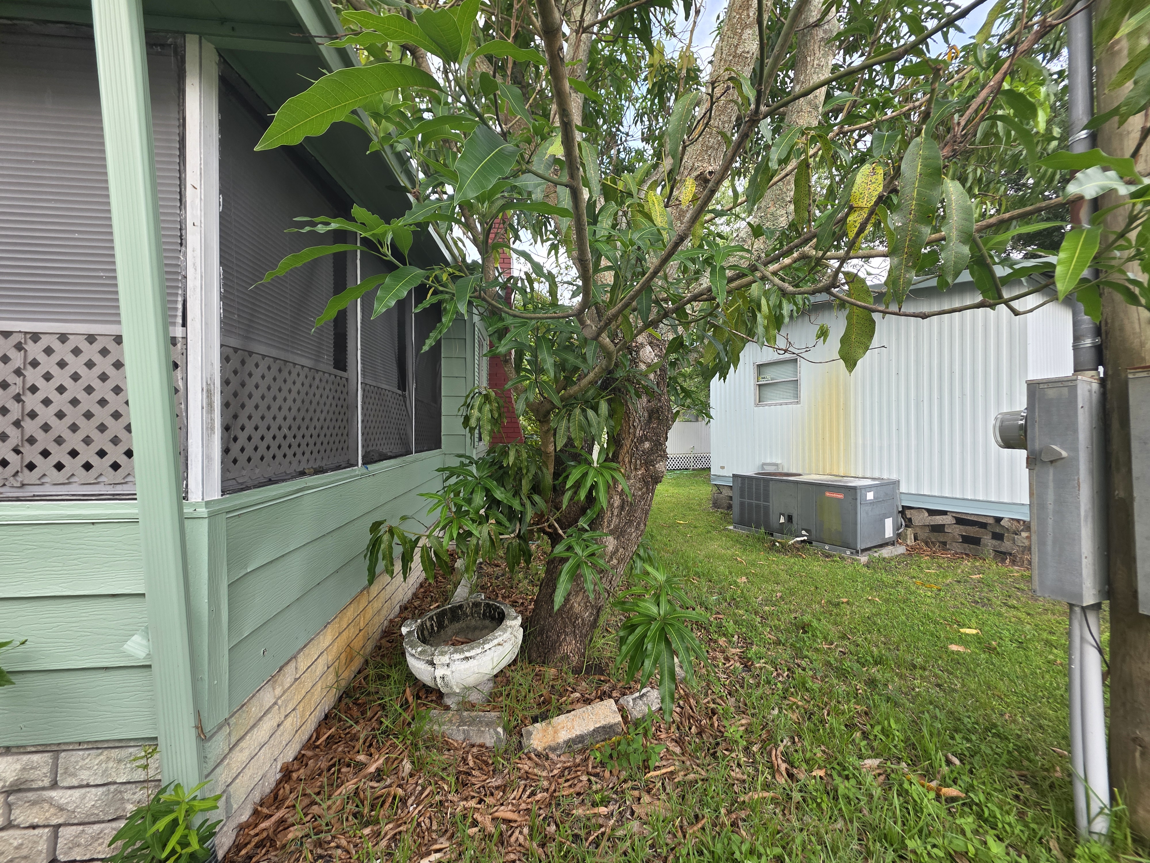226 Palm Drive, Tampa, Florida 33613, 3 Bedrooms Bedrooms, ,2 BathroomsBathrooms,55-Plus Mobile Home,For Sale,Palm Drive,3959