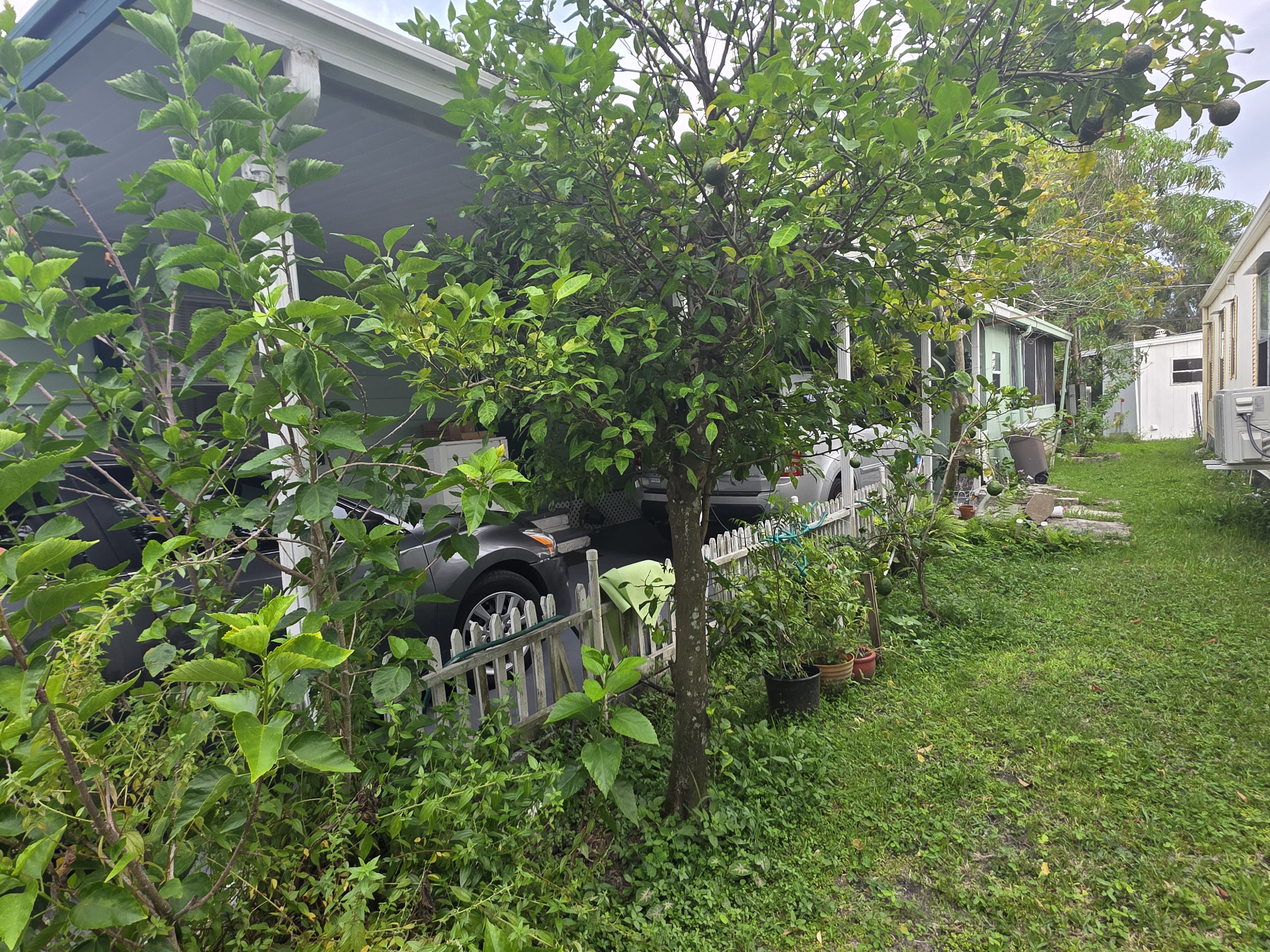 226 Palm Drive, Tampa, Florida 33613, 3 Bedrooms Bedrooms, ,2 BathroomsBathrooms,55-Plus Mobile Home,For Sale,Palm Drive,3959