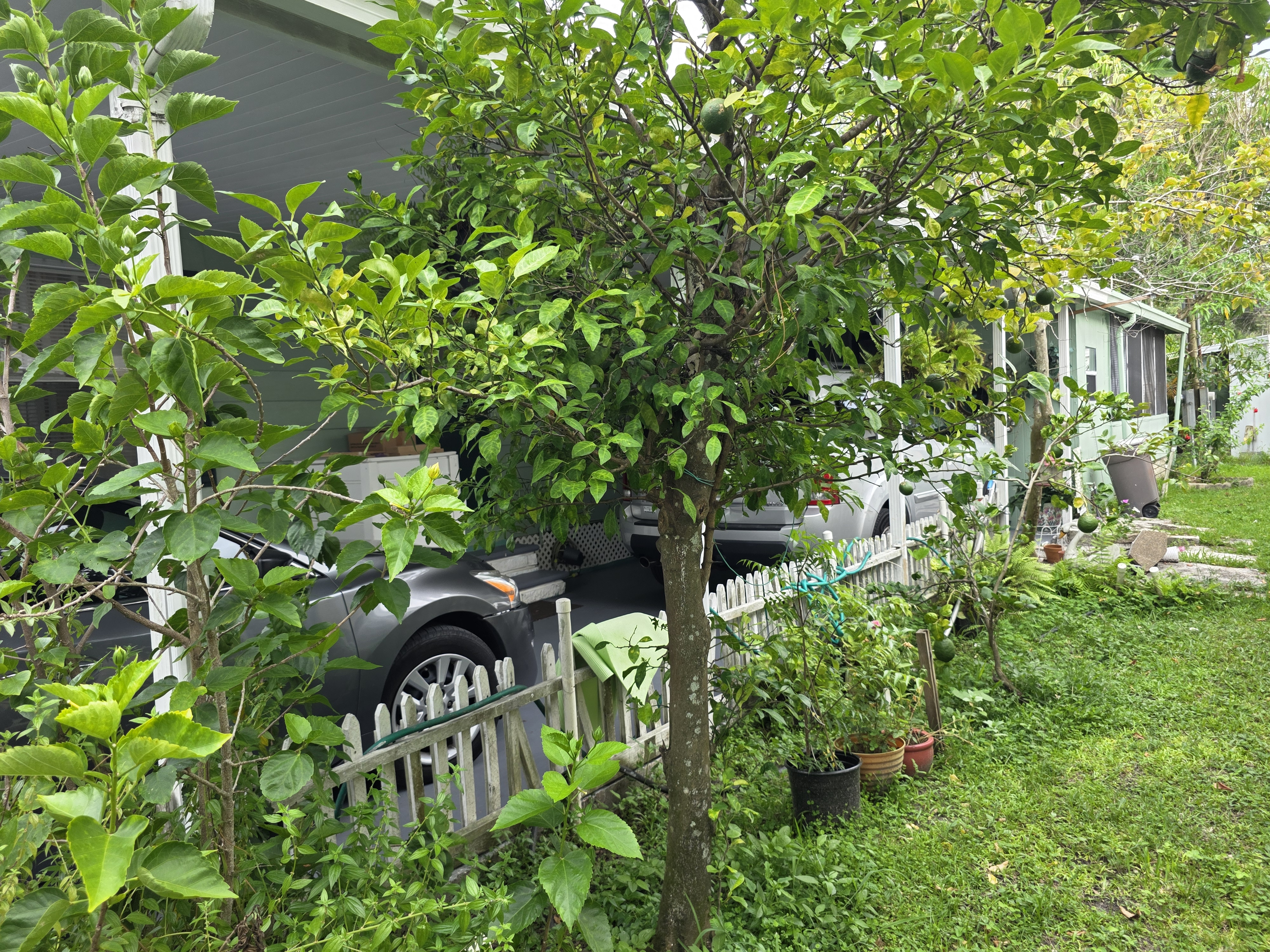 226 Palm Drive, Tampa, Florida 33613, 3 Bedrooms Bedrooms, ,2 BathroomsBathrooms,55-Plus Mobile Home,For Sale,Palm Drive,3959