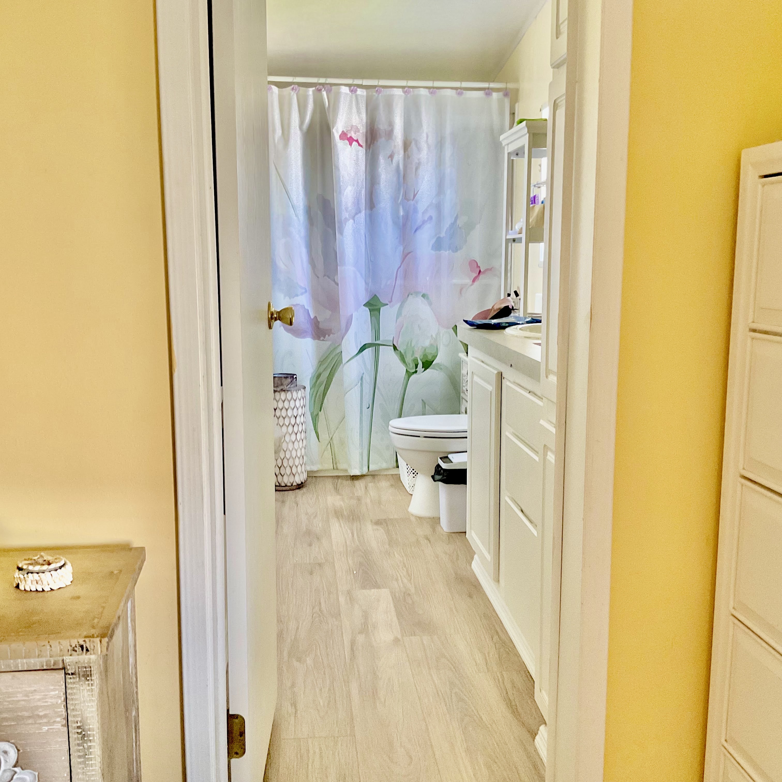 3113 State Road 580, Lot 416, Safety Harbor, Florida 34695, 3 Bedrooms Bedrooms, ,2 BathroomsBathrooms,55-Plus Mobile Home,For Sale,State Road 580, Lot 416,3979