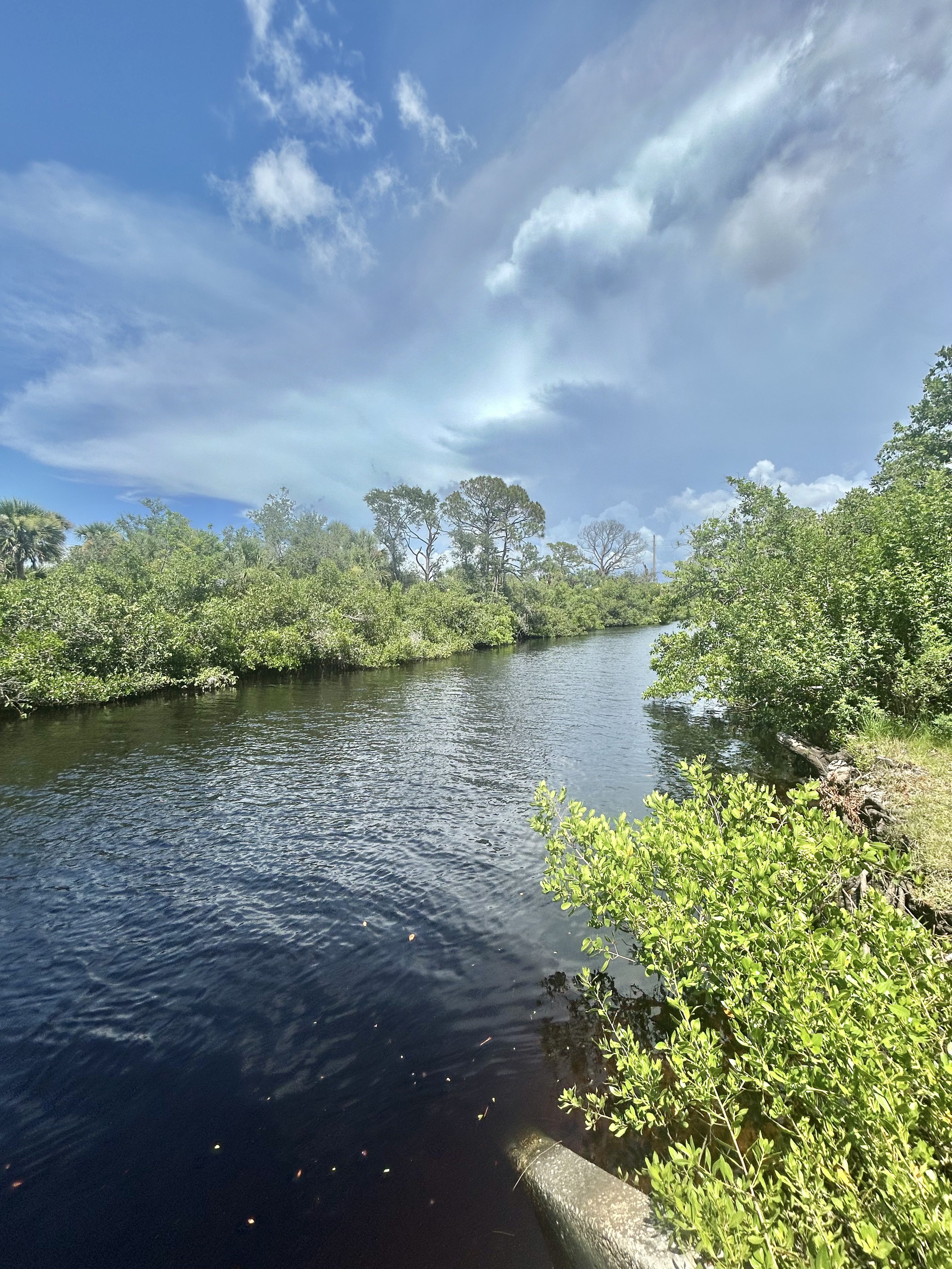 964 Nogoya East, Lot 51, Venice, Florida 34285, 2 Bedrooms Bedrooms, ,2 BathroomsBathrooms,55-Plus Mobile Home,For Sale,Nogoya East, Lot 51,3983