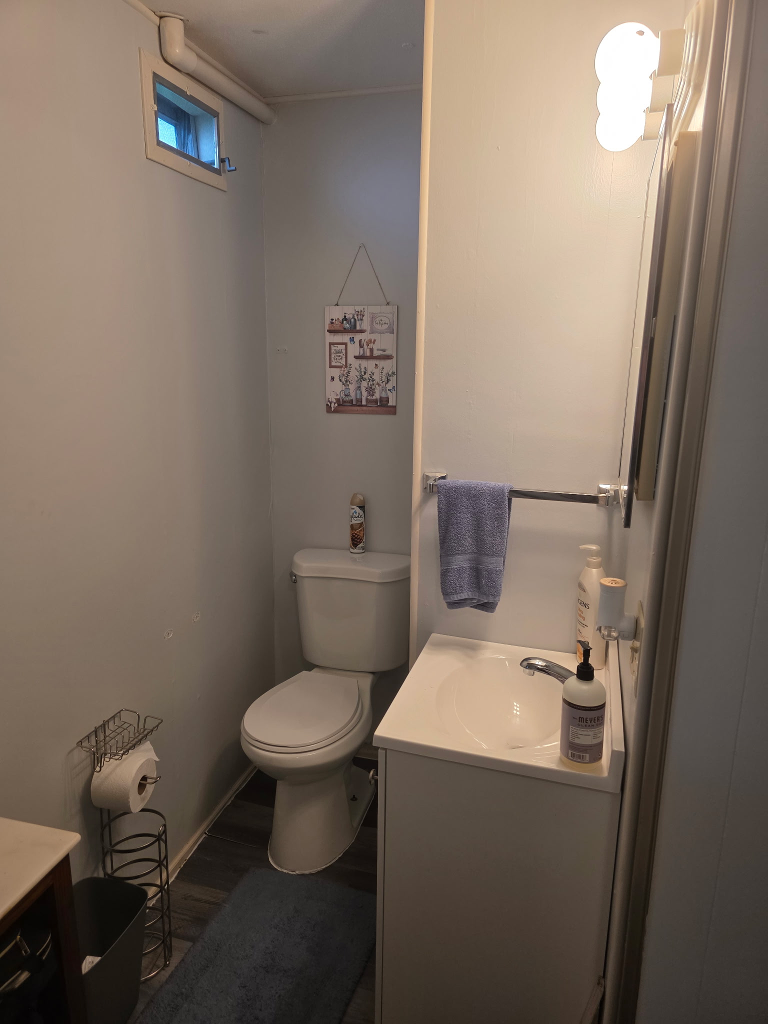 1862 Gangway Loop, Ruskin, Florida 33570, 2 Bedrooms Bedrooms, ,1.5 BathroomsBathrooms,55-Plus Mobile Home,For Sale,Gangway Loop,3997