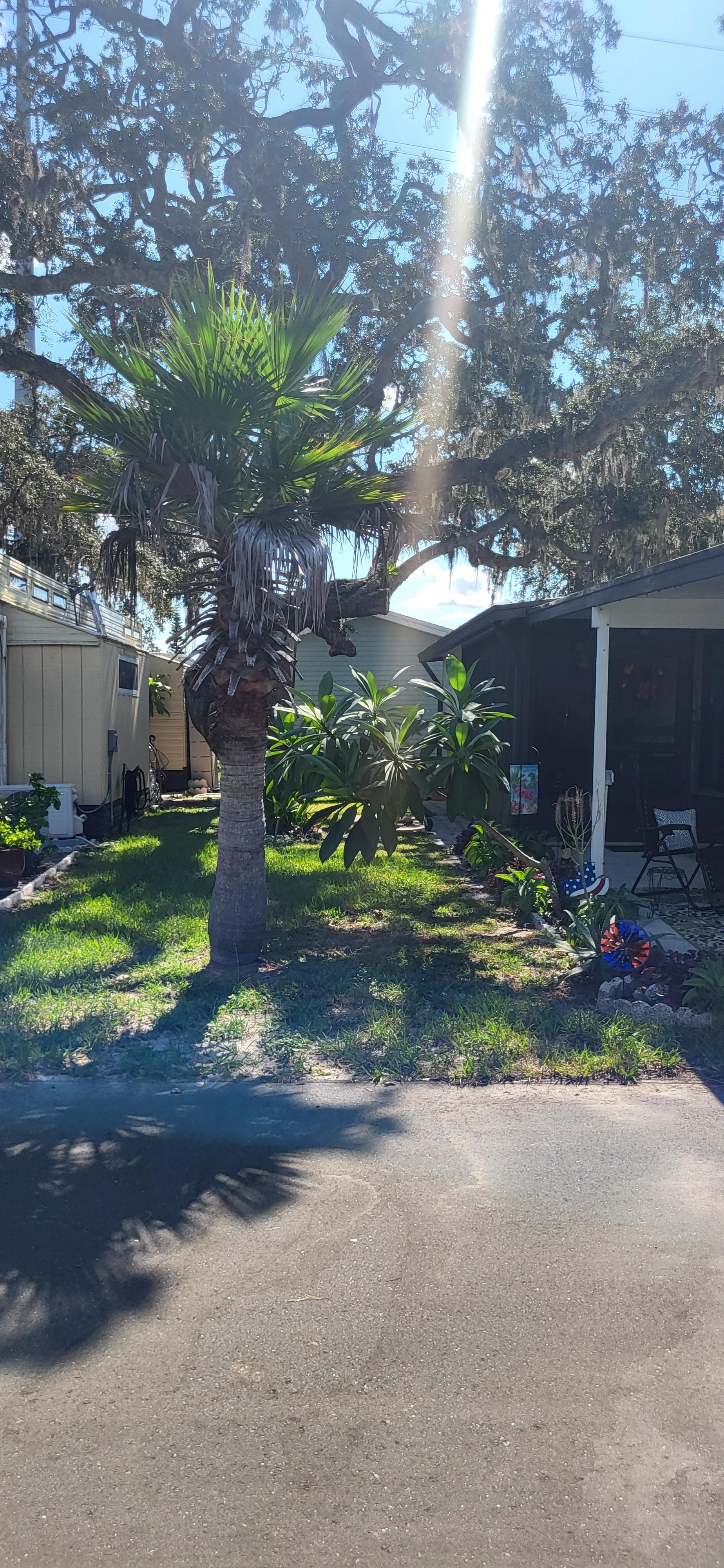 8225 Arevee Drive, Lot 819, New Port Richey, Florida 34653, 1 Bedroom Bedrooms, ,1 BathroomBathrooms,55-Plus Mobile Home,For Sale,Arevee Drive, Lot 819,3999