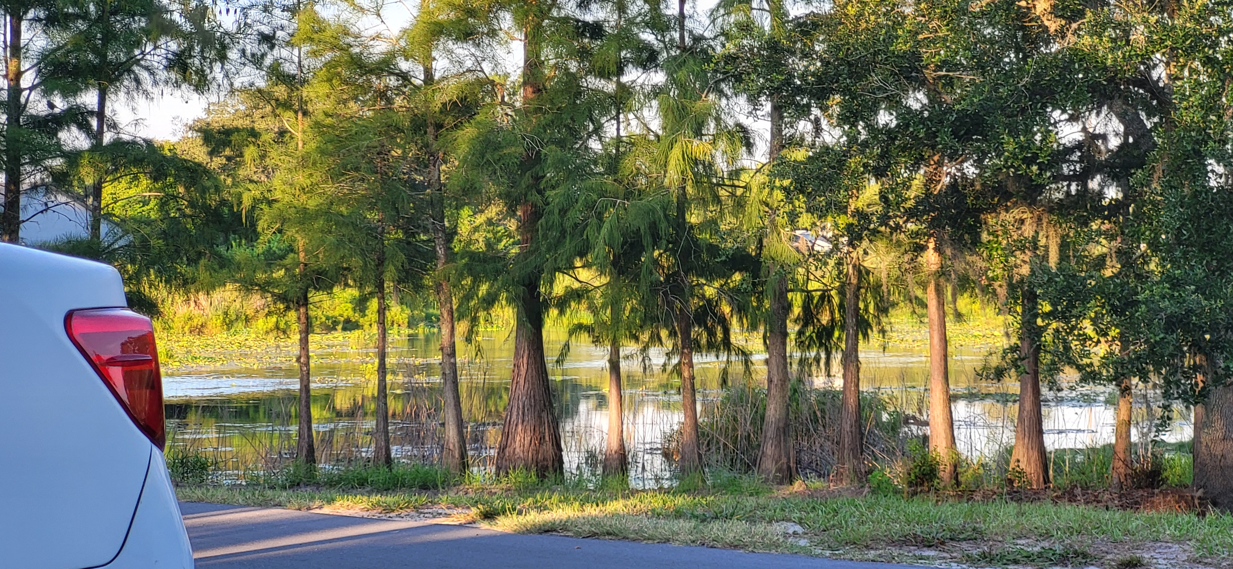 8225 Arevee Drive, Lot 819, New Port Richey, Florida 34653, 1 Bedroom Bedrooms, ,1 BathroomBathrooms,55-Plus Mobile Home,For Sale,Arevee Drive, Lot 819,3999