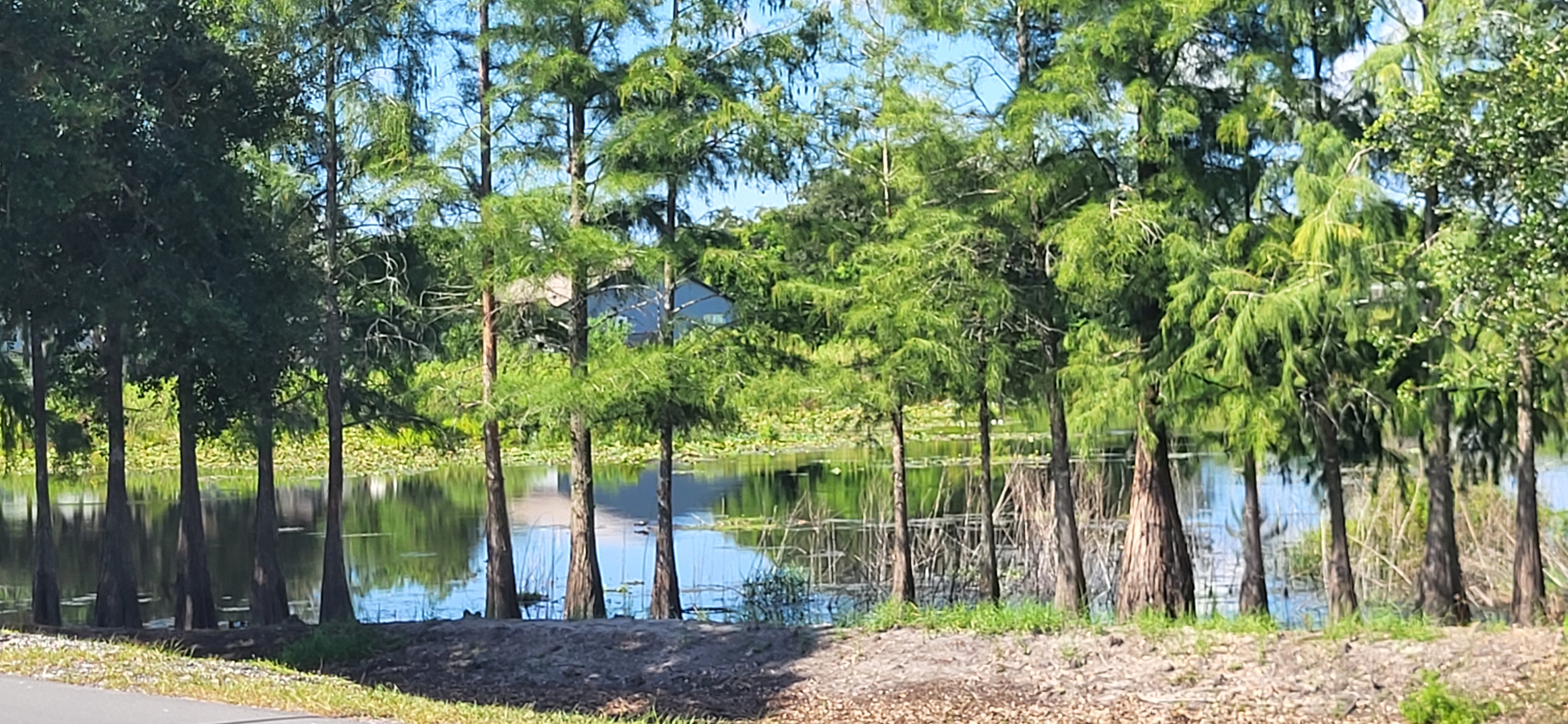 8225 Arevee Drive, Lot 819, New Port Richey, Florida 34653, 1 Bedroom Bedrooms, ,1 BathroomBathrooms,55-Plus Mobile Home,For Sale,Arevee Drive, Lot 819,3999