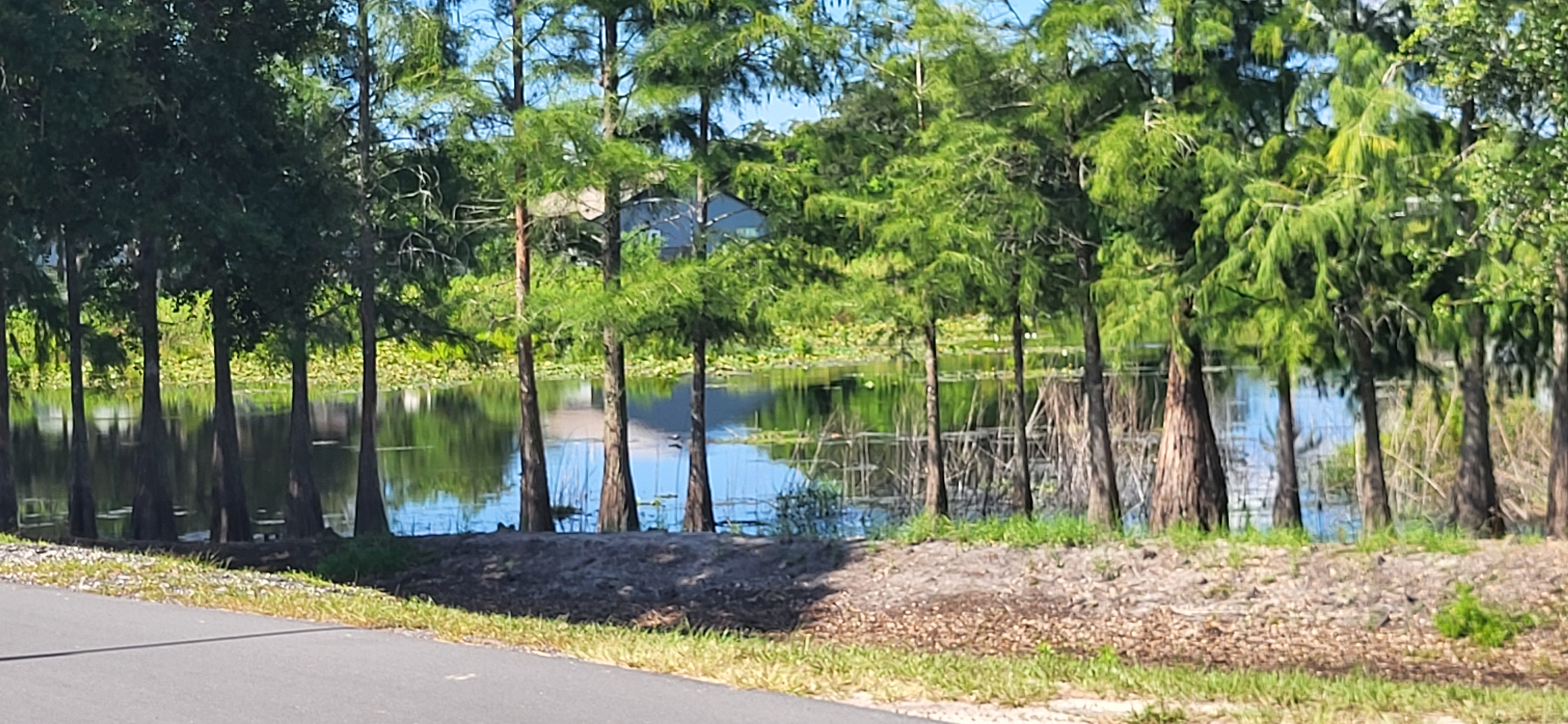 8225 Arevee Drive, Lot 819, New Port Richey, Florida 34653, 1 Bedroom Bedrooms, ,1 BathroomBathrooms,55-Plus Mobile Home,For Sale,Arevee Drive, Lot 819,3999