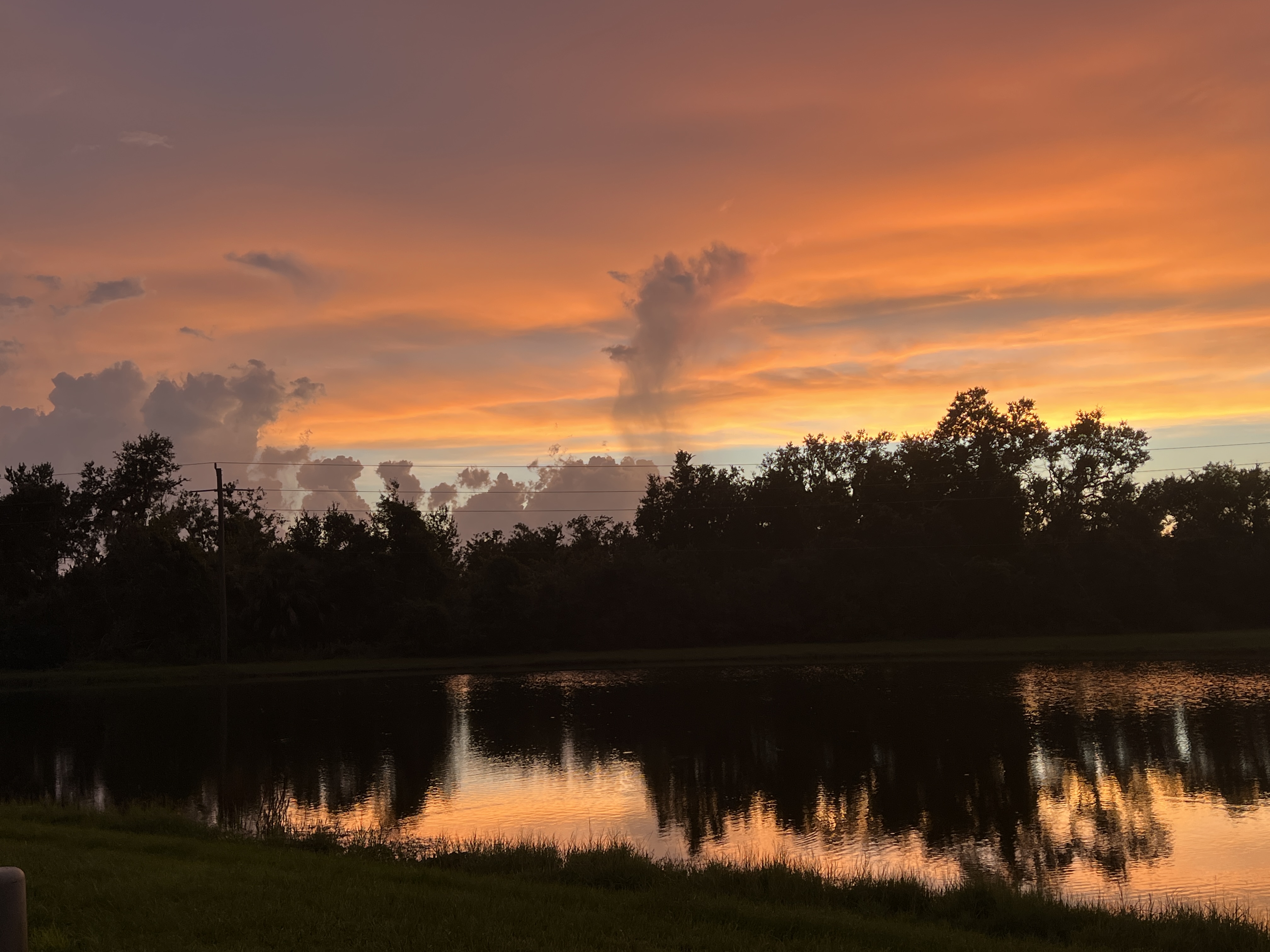 938 Siesta Drive, Ellenton, Florida 34222, 3 Bedrooms Bedrooms, ,2 BathroomsBathrooms,55-Plus Mobile Home,For Sale,Siesta Drive,4032