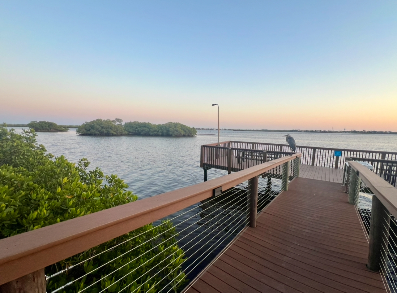 492 Marlin Lane, Ellenton, Florida 34222, 2 Bedrooms Bedrooms, ,2 BathroomsBathrooms,55-Plus Mobile Home,For Sale,Marlin Lane,4036