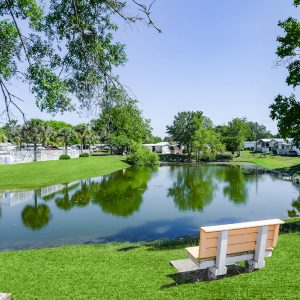 245 Wildwood Drive, Lot 52, St Augustine, Florida 32086, 2 Bedrooms Bedrooms, ,2 BathroomsBathrooms,55-Plus Mobile Home,For Sale,Wildwood Drive, Lot 52,4039