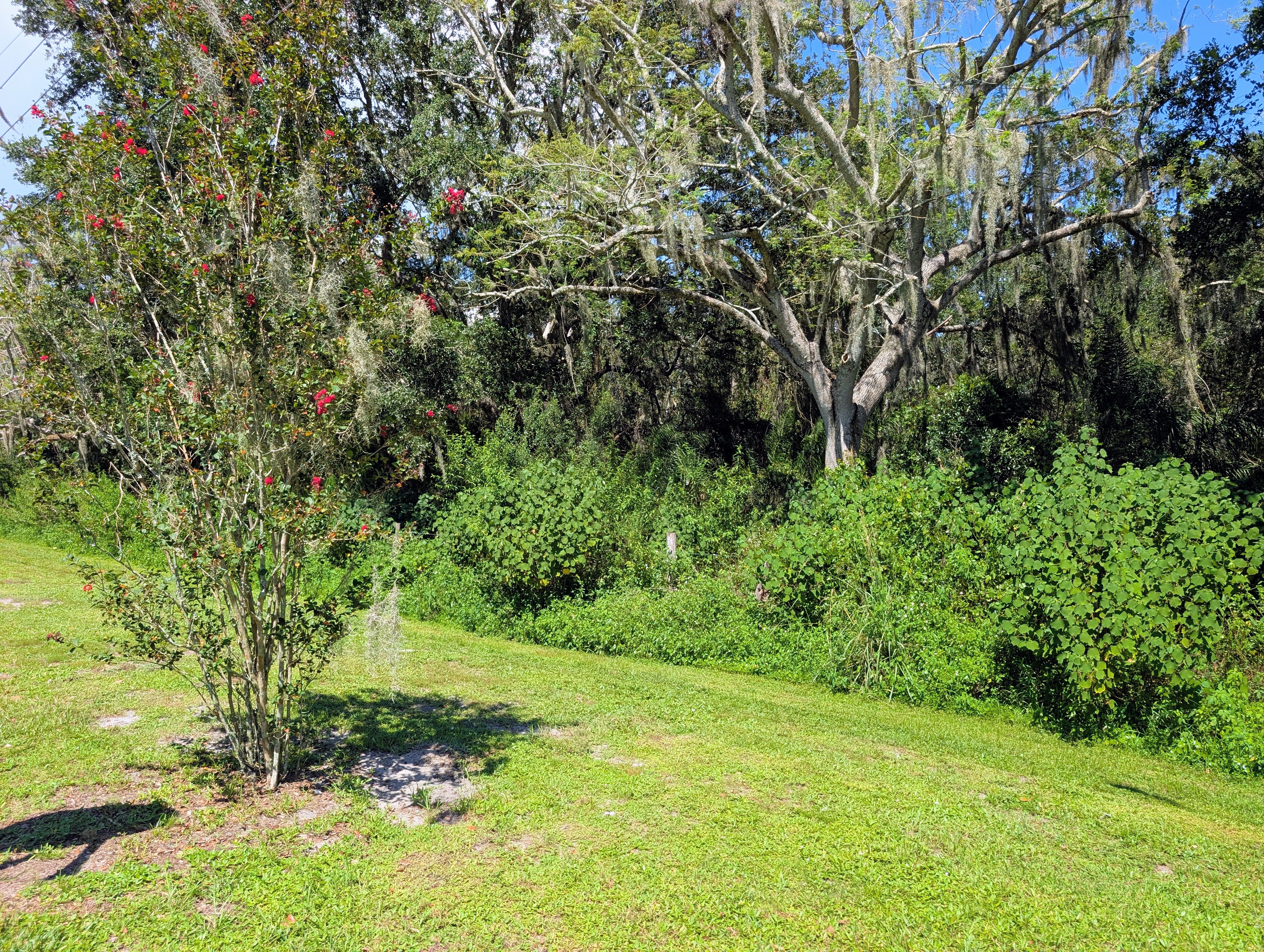 4338 Hamlin Way, Wimauma, Florida 33598, 2 Bedrooms Bedrooms, ,2 BathroomsBathrooms,55-Plus Mobile Home,For Sale,Hamlin Way,4040