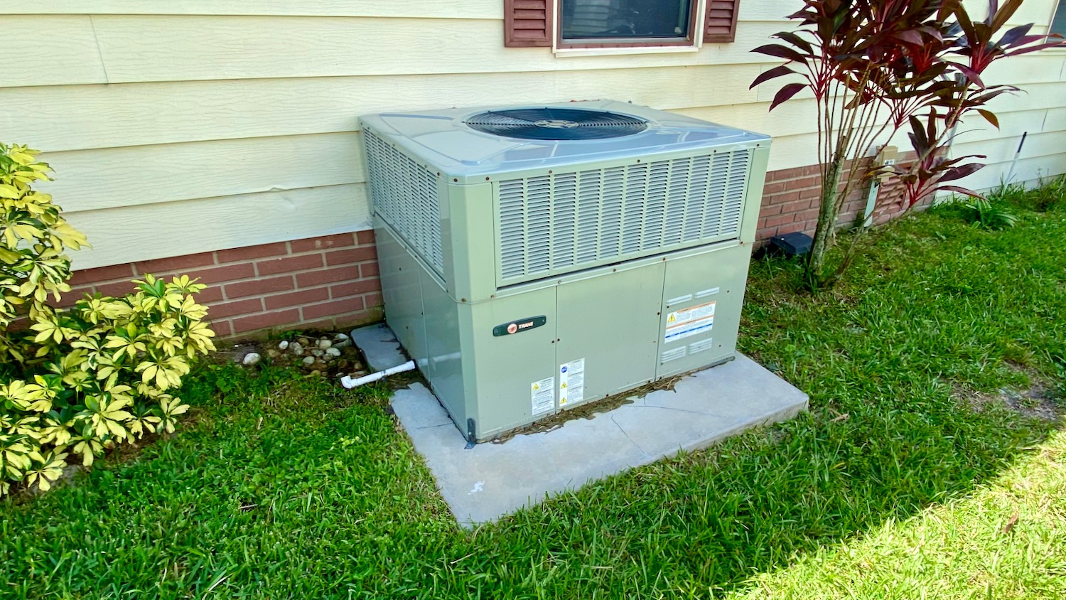 11649 Alepat Lane, Orlando, Florida 32836, 2 Bedrooms Bedrooms, ,2 BathroomsBathrooms,55-Plus Mobile Home,For Sale,Alepat Lane,4061