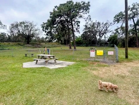 6231 Coach House Circle, Ruskin, Florida 33570, 2 Bedrooms Bedrooms, ,1 BathroomBathrooms,55-Plus Mobile Home,For Sale,Coach House Circle,4088