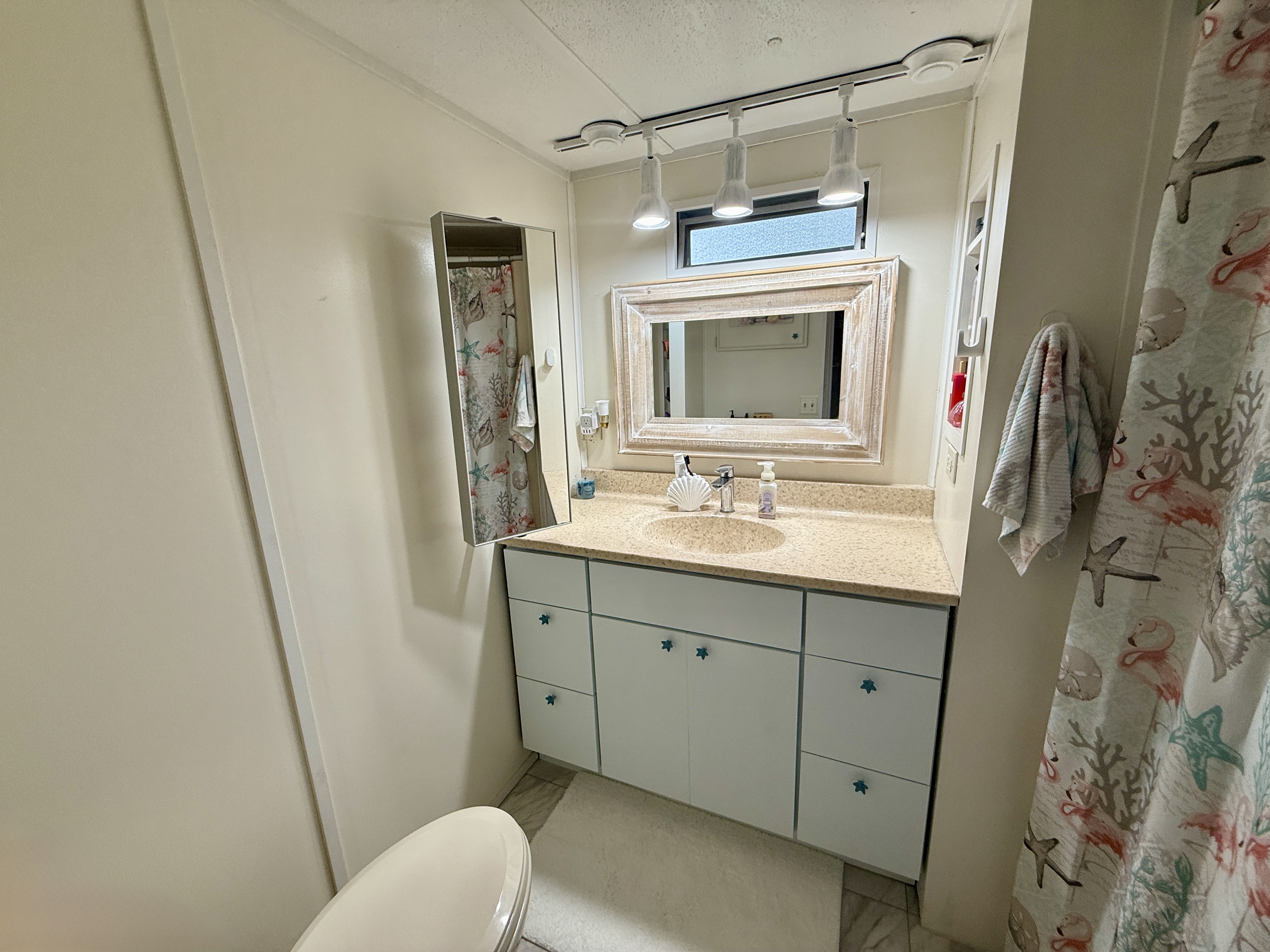 96 Fred Avenue, Dunedin, Florida 34698, 3 Bedrooms Bedrooms, ,1 BathroomBathrooms,55-Plus Mobile Home,For Sale,Fred Avenue,4093